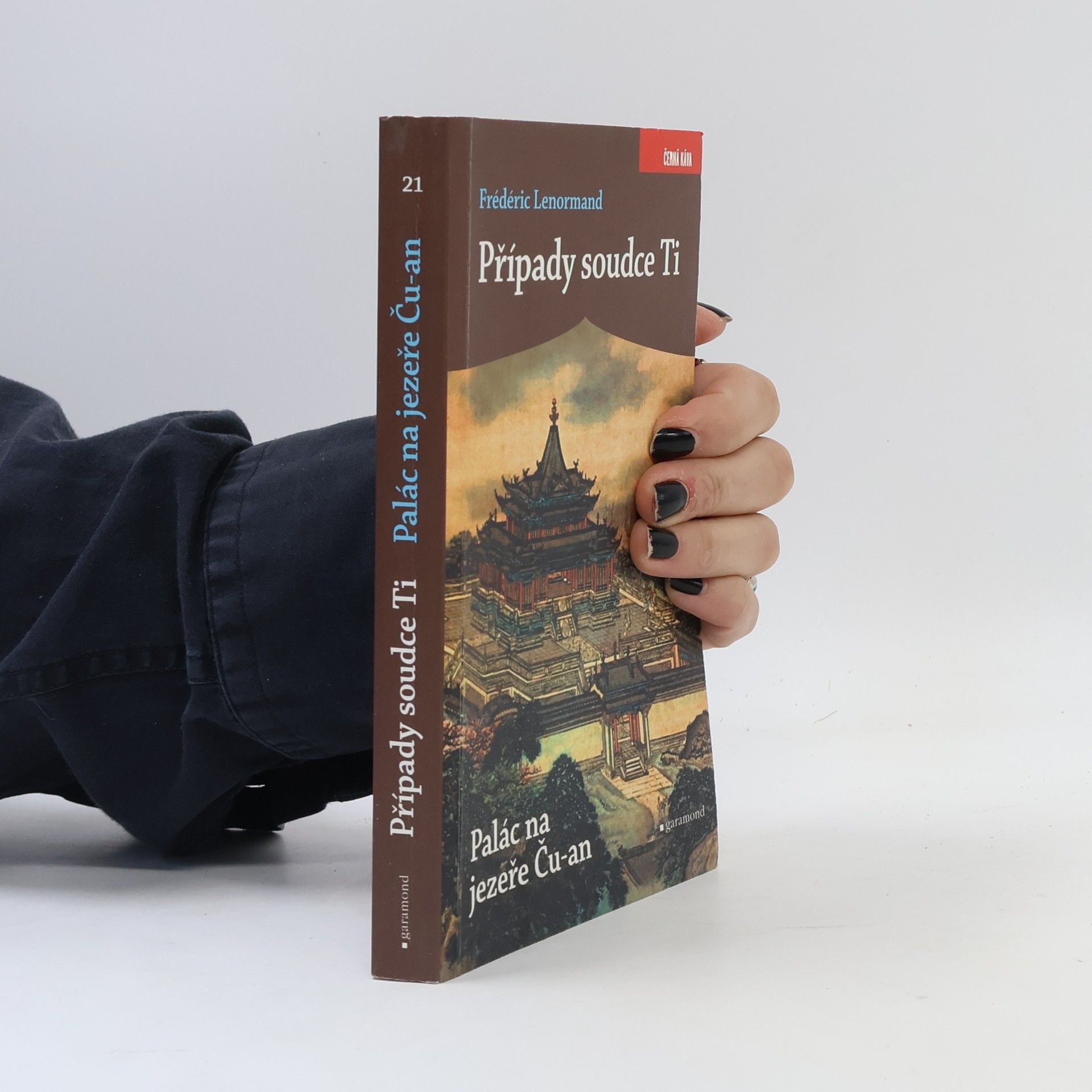 Frédéric Lenormand Případy soudce Ti: Palác na jezeře Ču-an