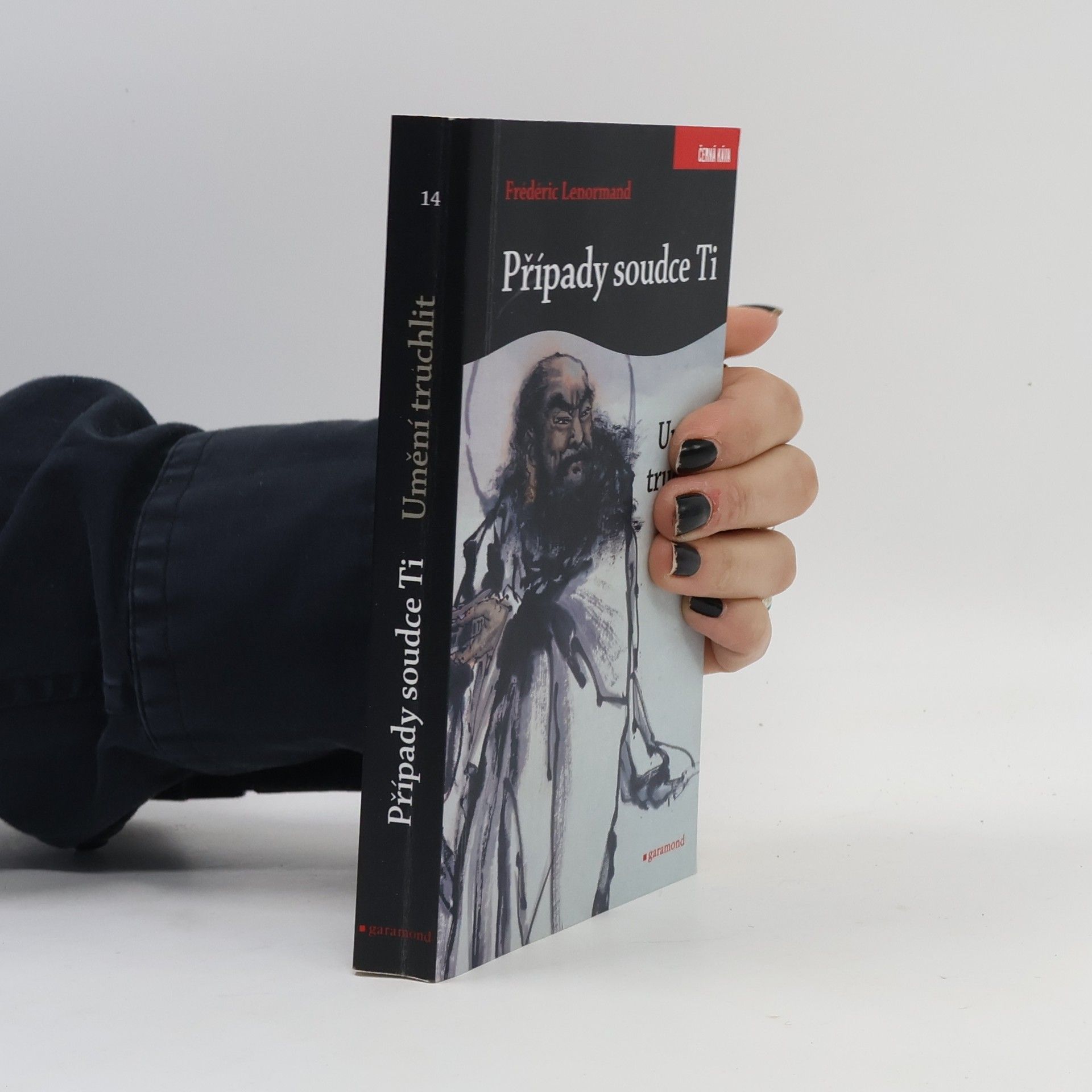 Frédéric Lenormand Případy soudce Ti. Umění truchlit