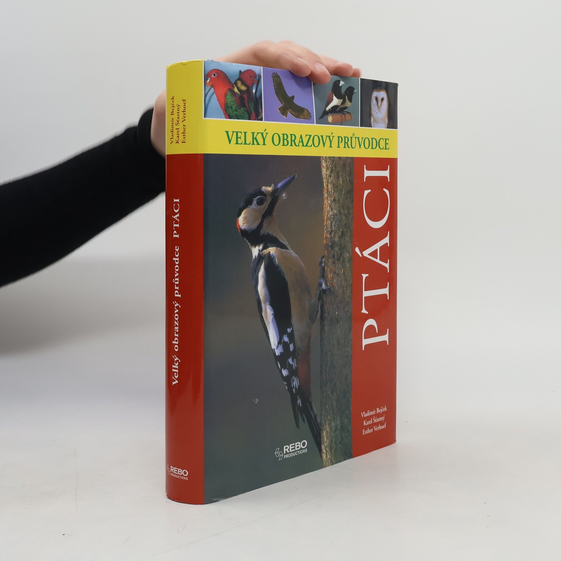 Berry Verhoef Ptáci - Velký obrazový průvodce