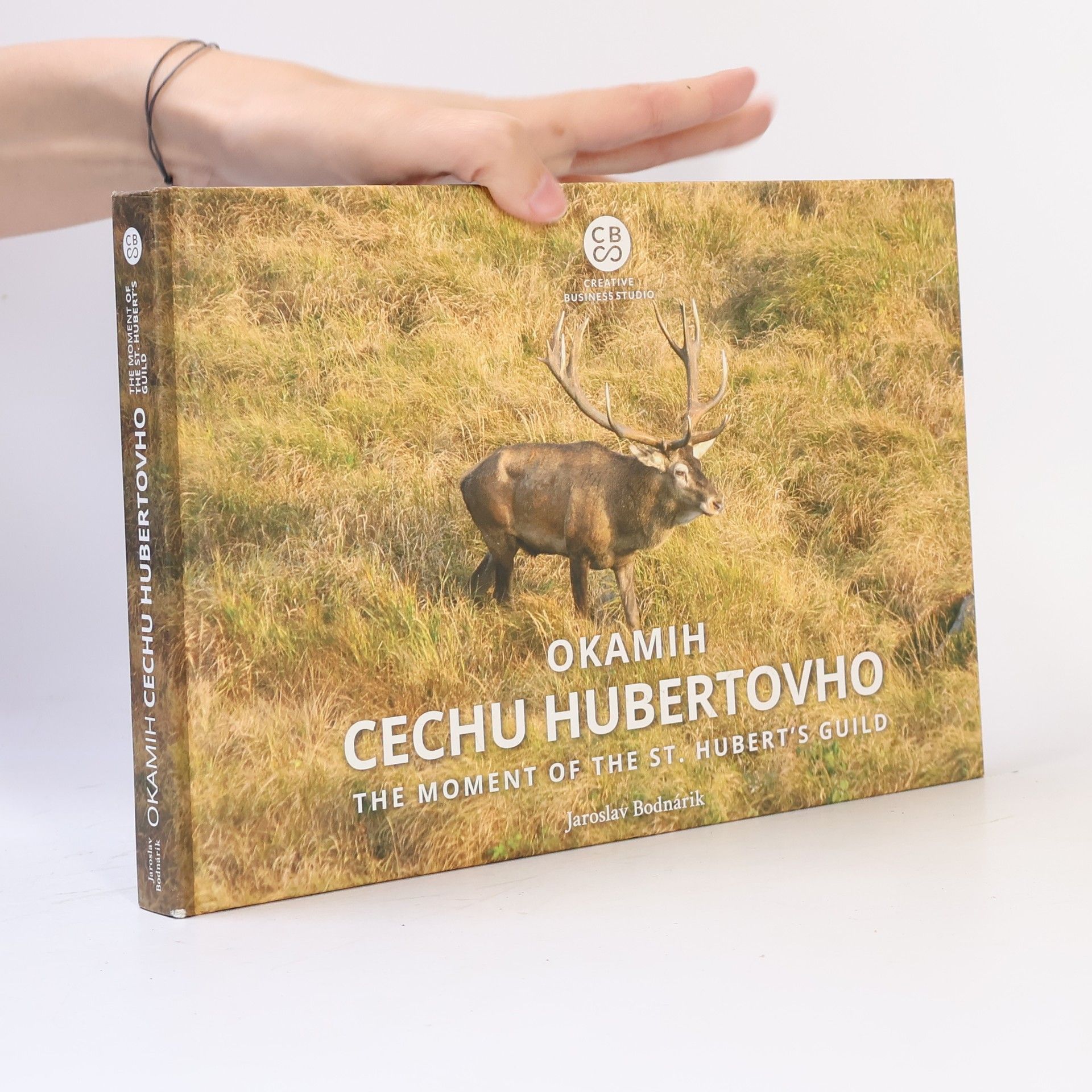 Jaroslav Bodnárik Okamih cechu Hubertovho