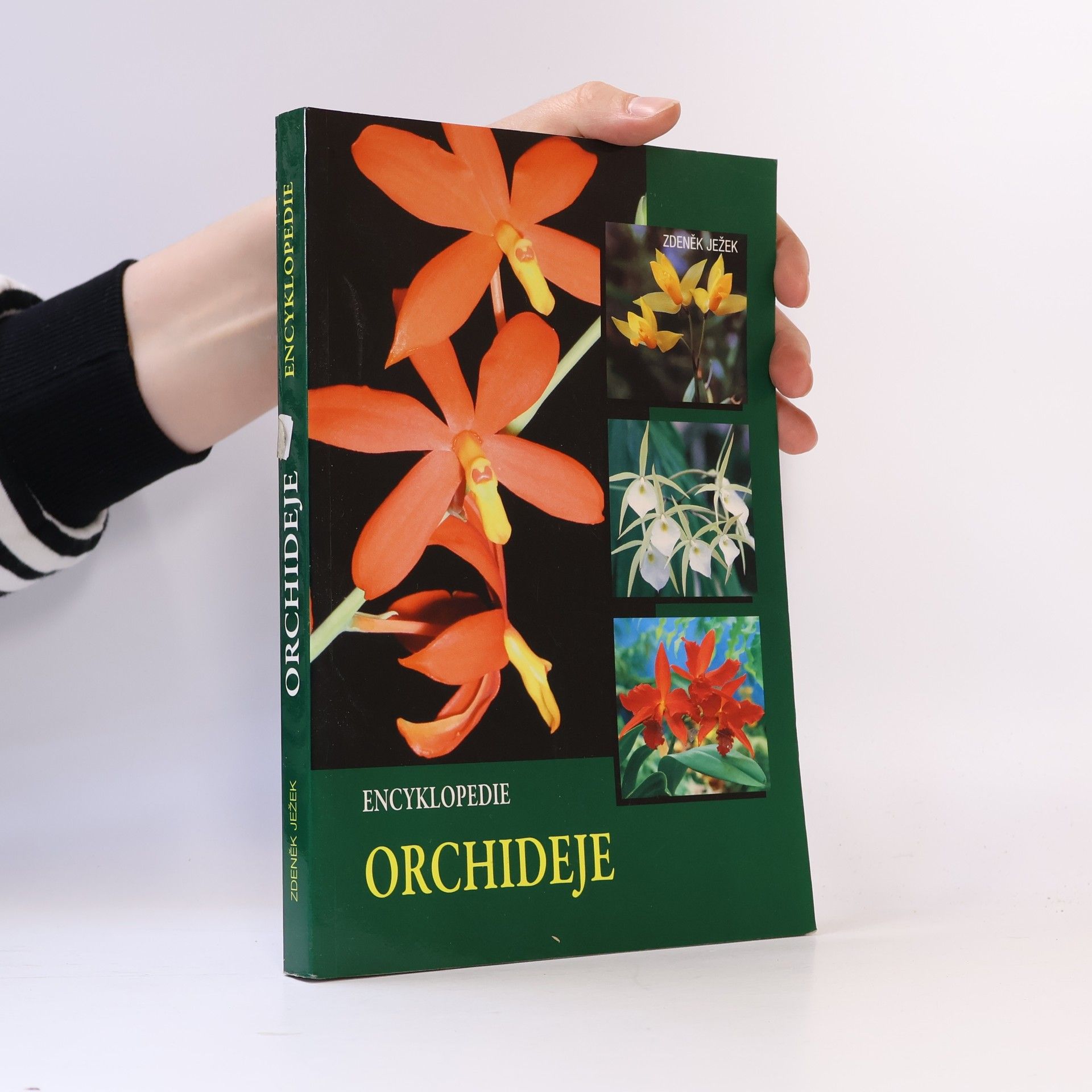 Zdeněk Ježek Encyklopedie - Orchideje