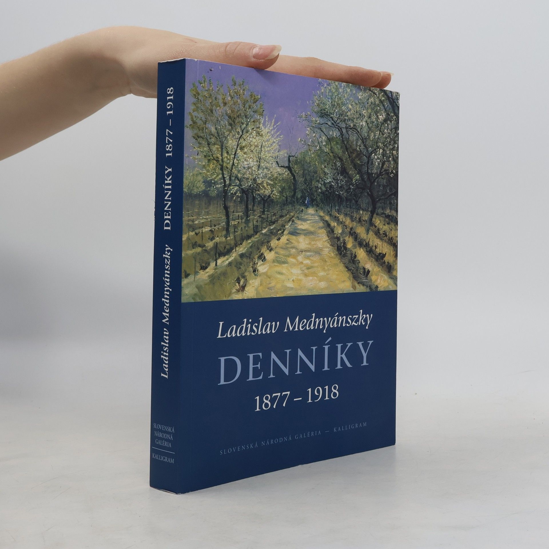 Ladislav Medňanský Denníky 1877-1918