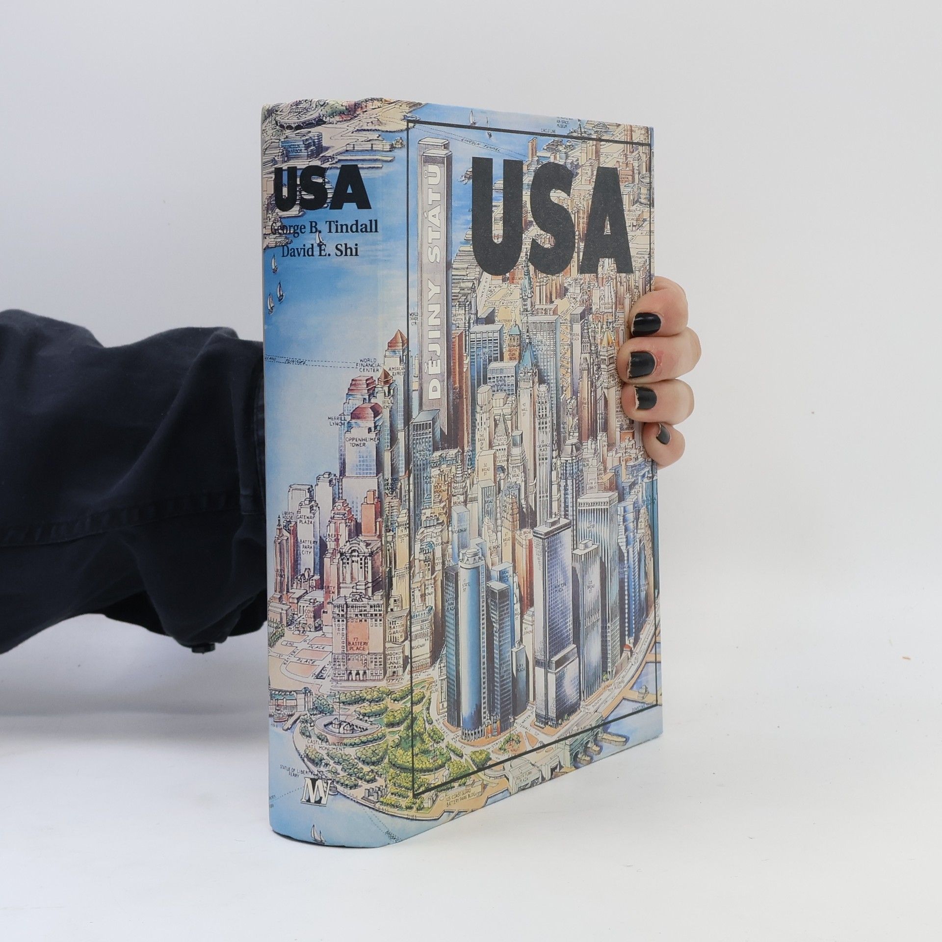 David E. Shi Dějiny států. USA