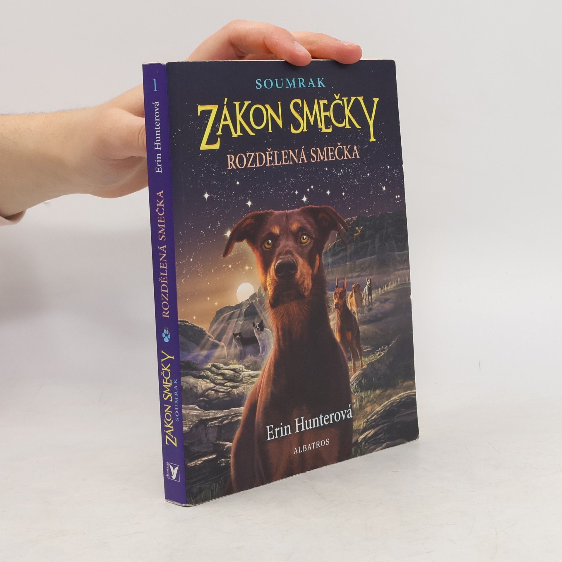 Erin Hunter Rozdělená smečka