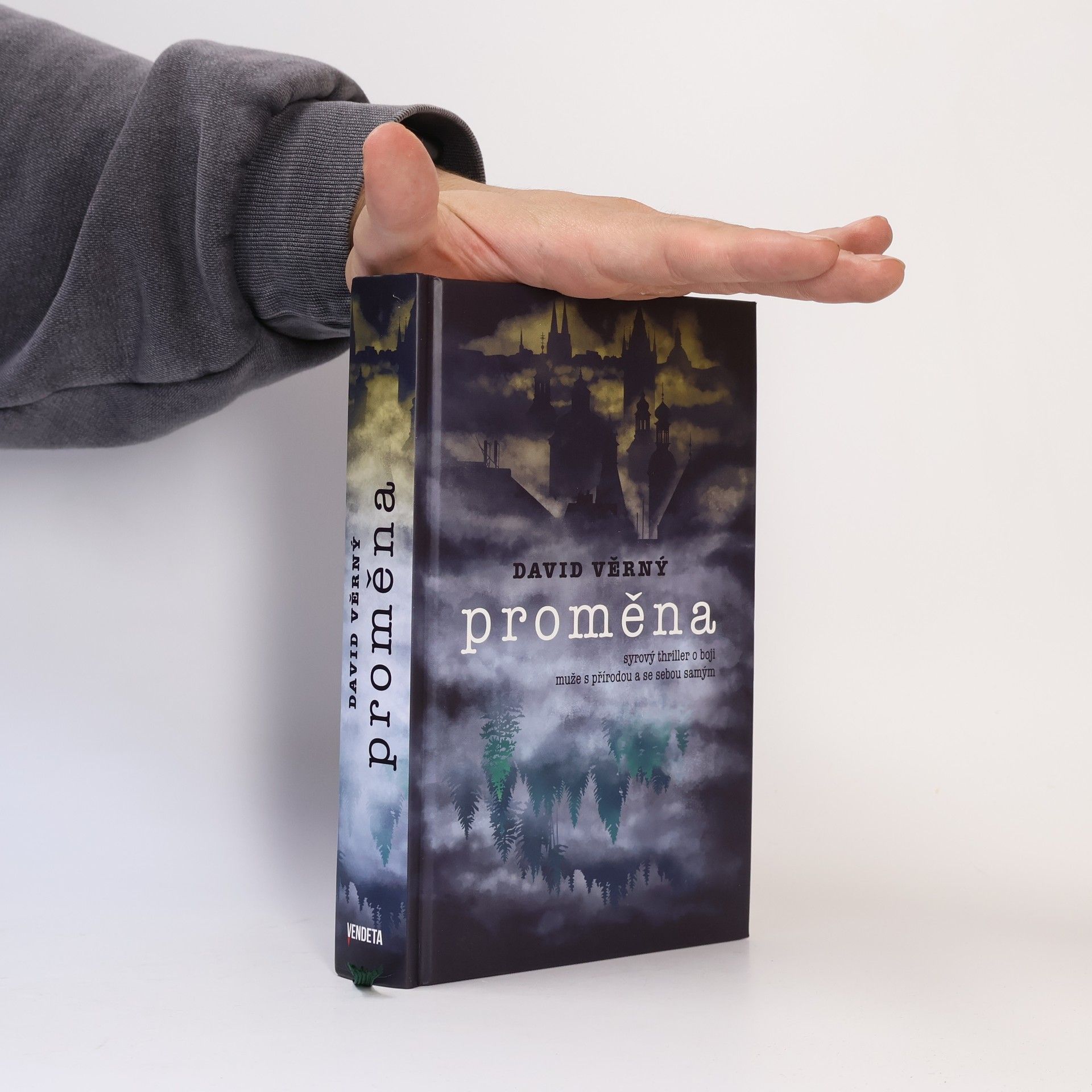 David Věrný Proměna