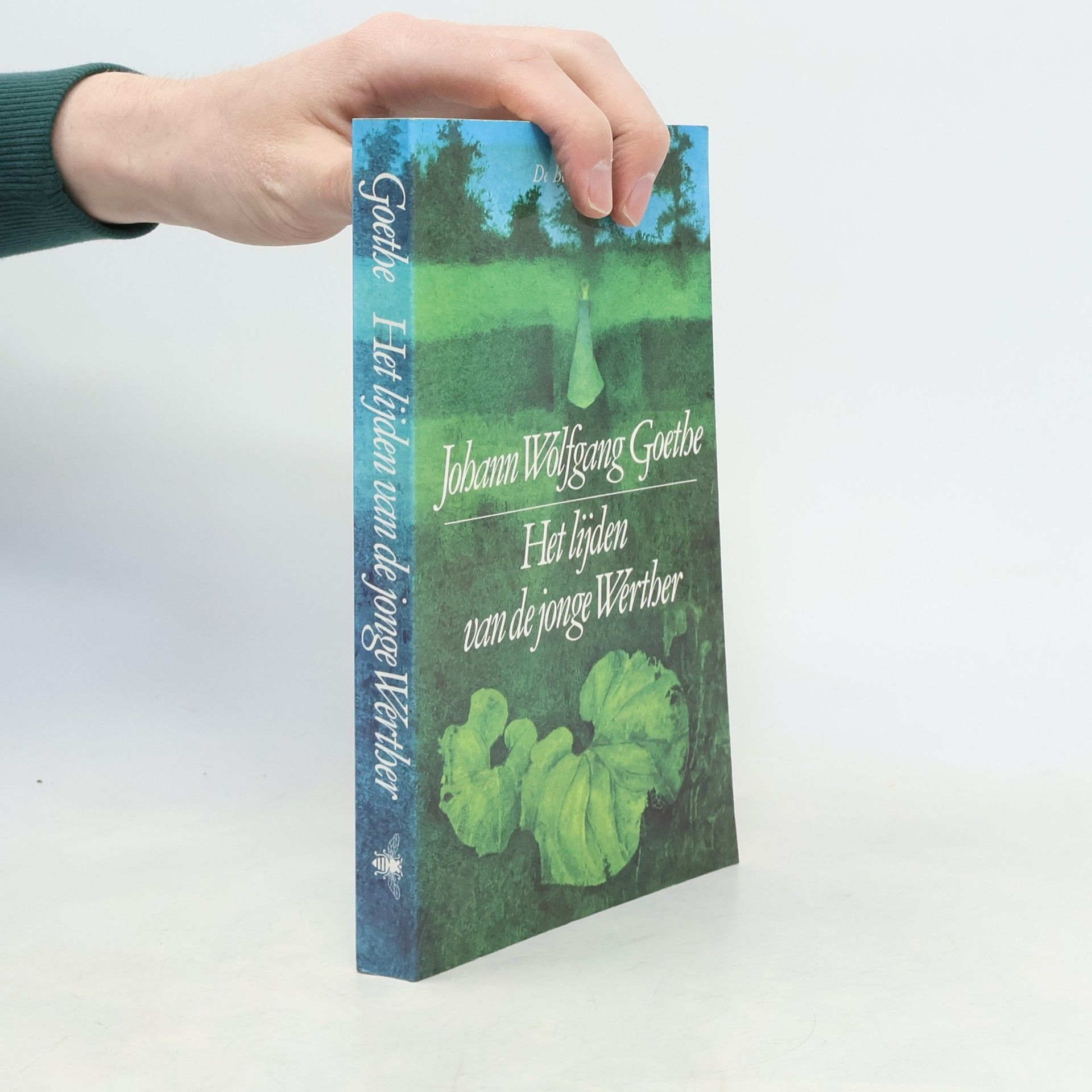 Johann Wolfgang von Goethe Het lijden van de jonge Werther