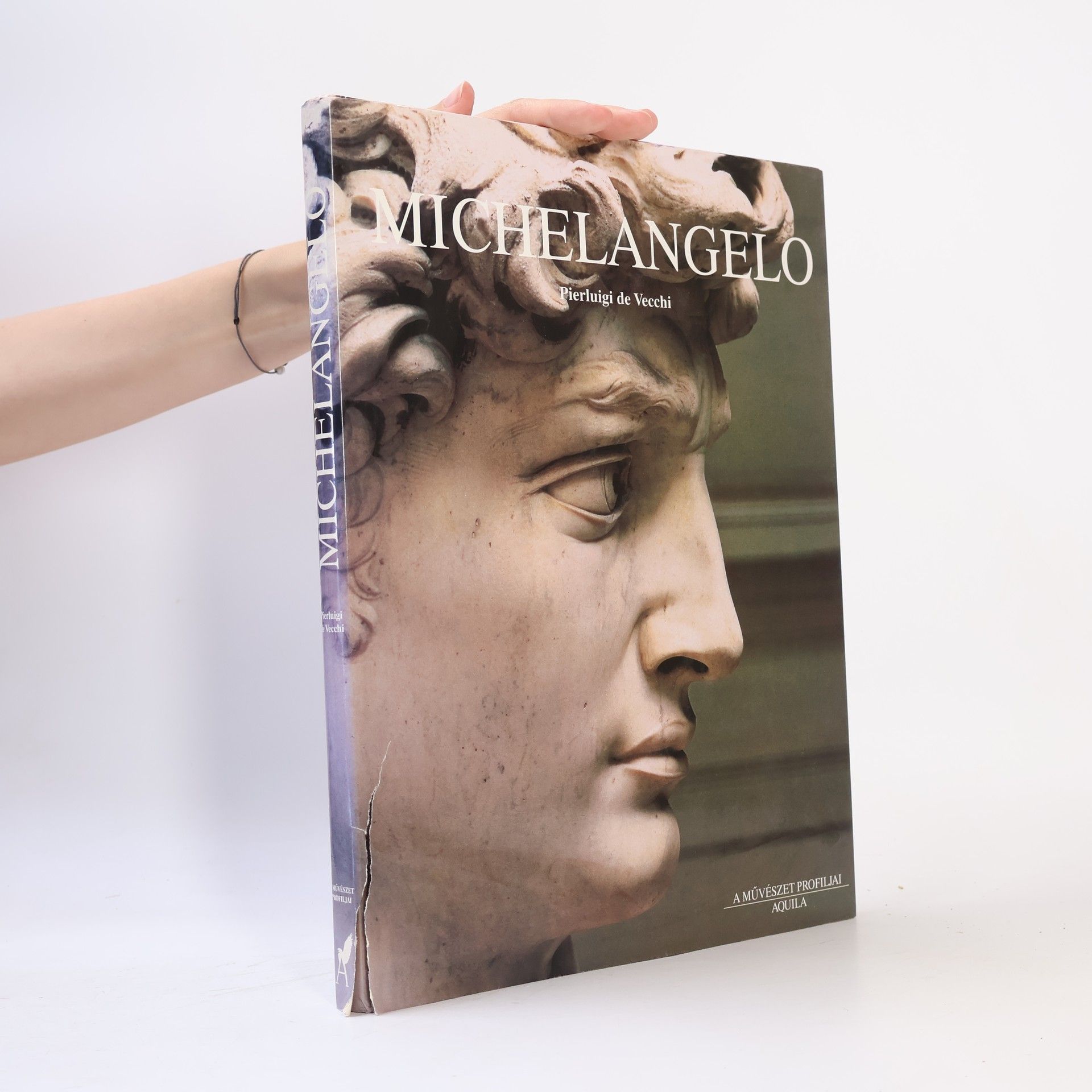 Pierluigi de Vecchi Michelangelo