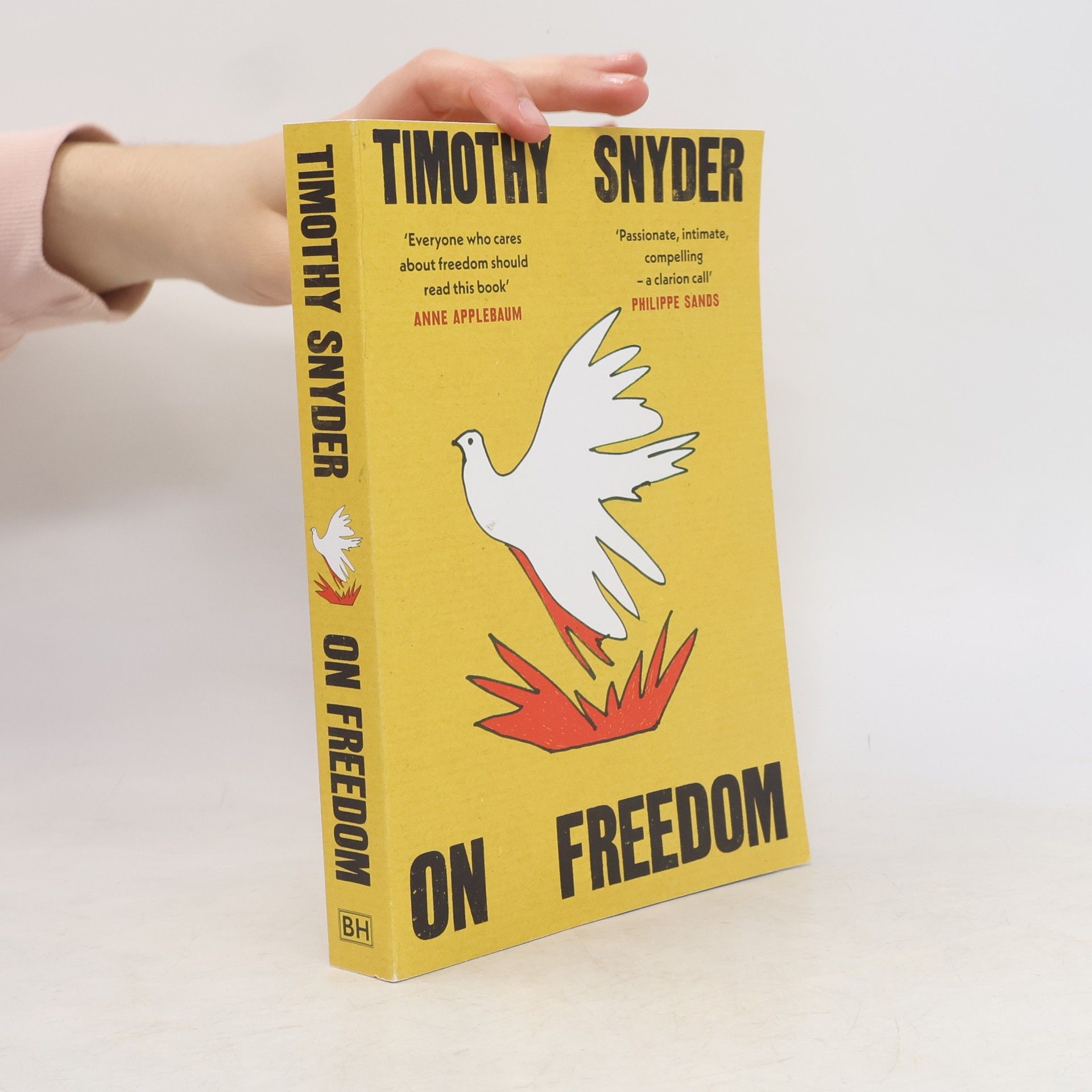 Timothy Snyder On Freedom