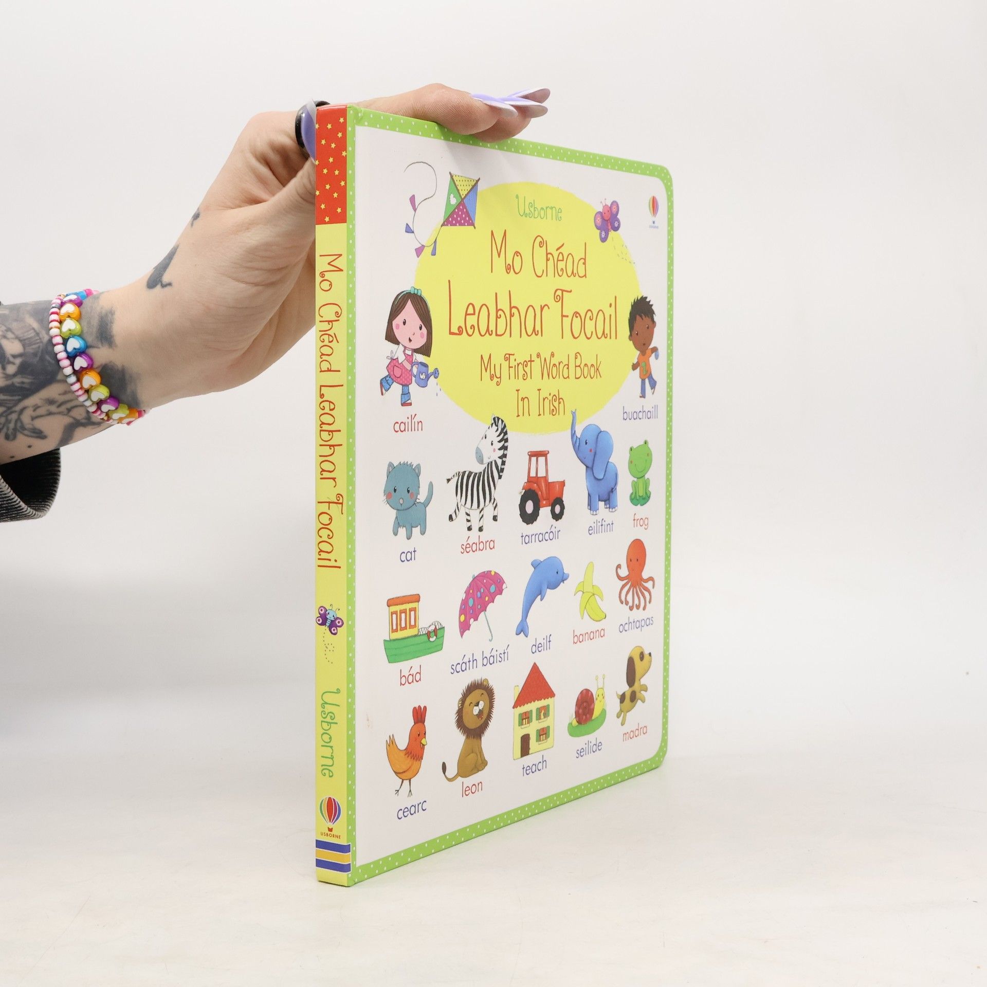 Rosalinde Bonnet My First Word Book in Irish