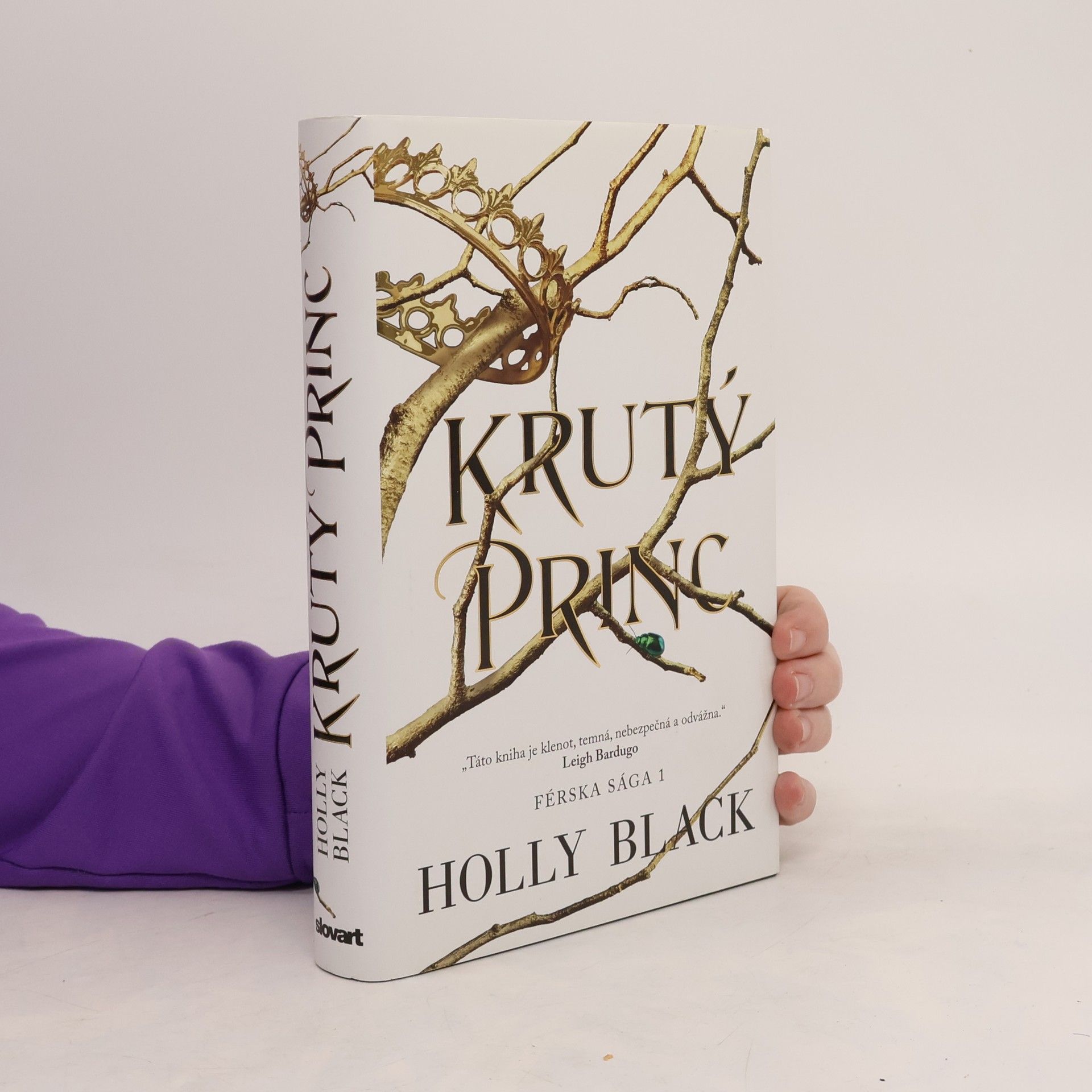 Holly Black Krutý princ