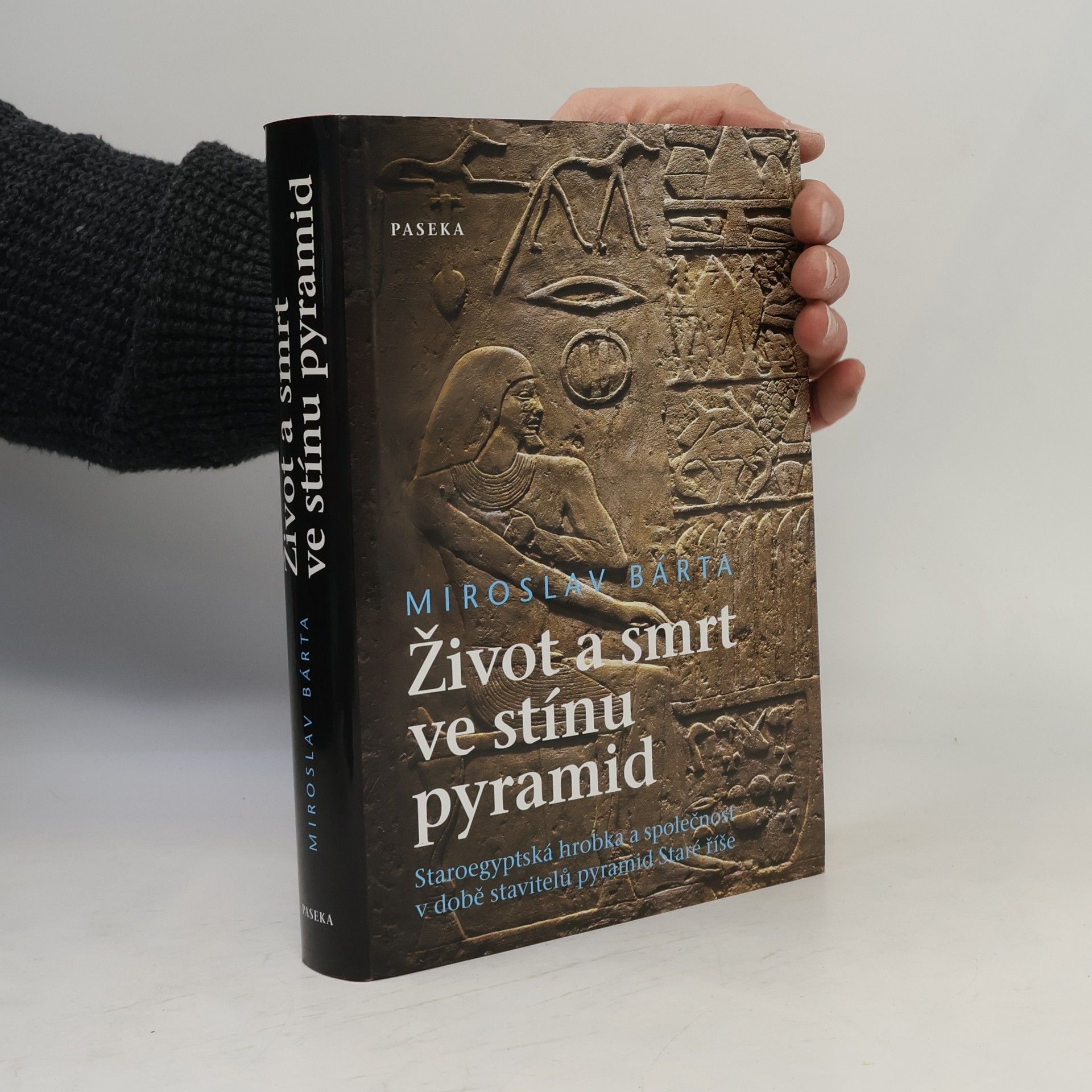 Miroslav Bárta Život a smrt ve stínu pyramid. Staroegyptská hrobka a společnost v době stavitelů pyramid Staré říše