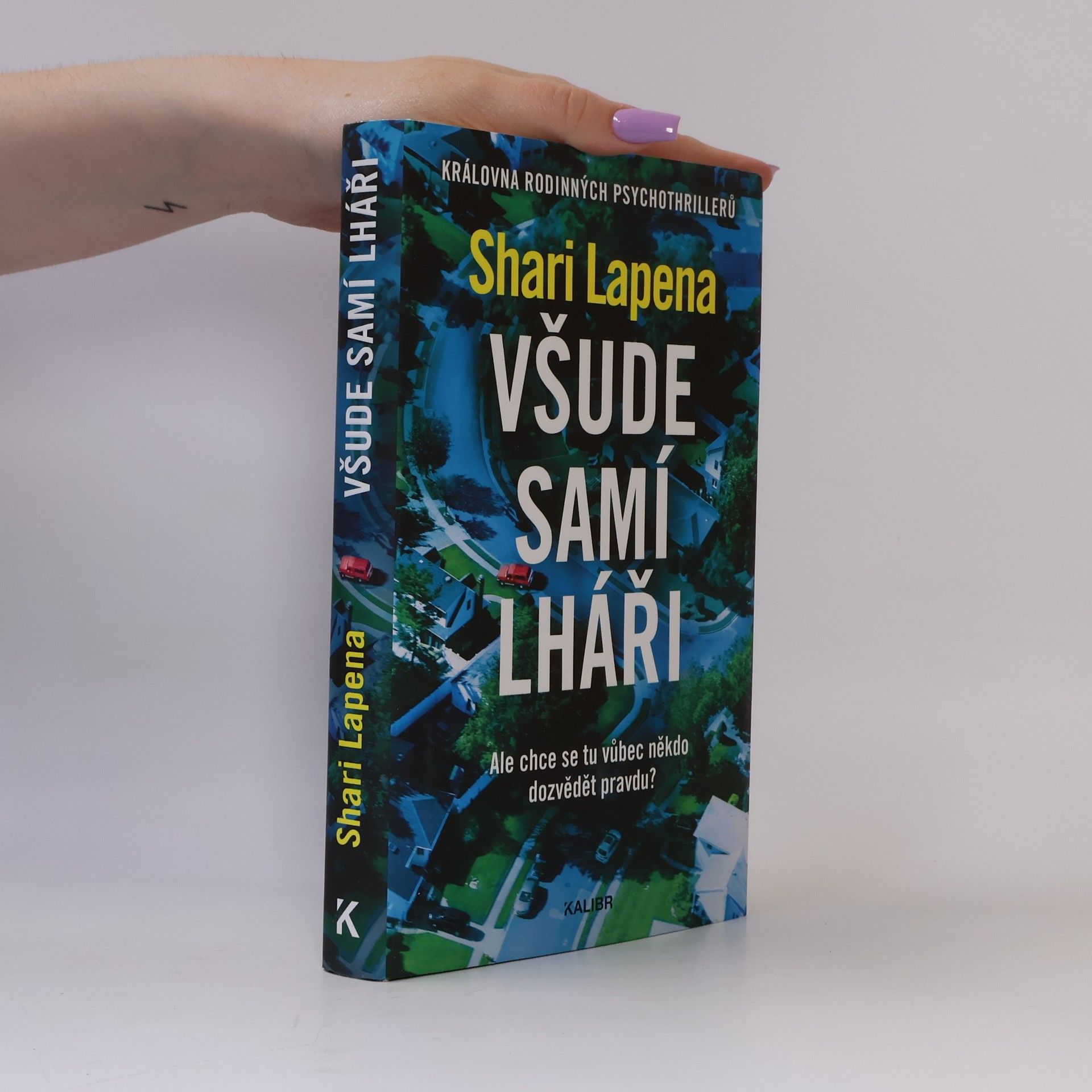 Shari Lapena Všude samí lháři