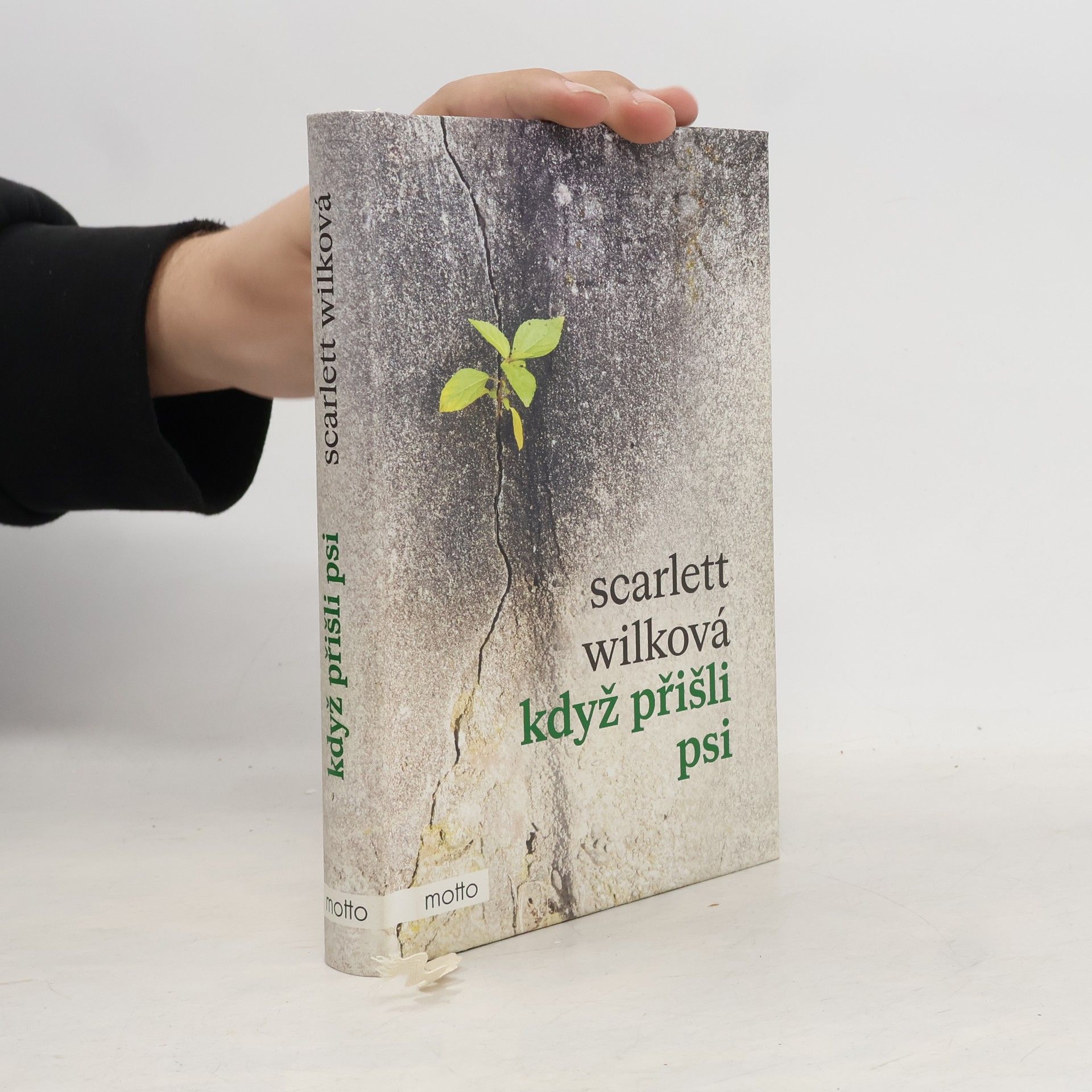 Scarlett Wilková Když přišli psi