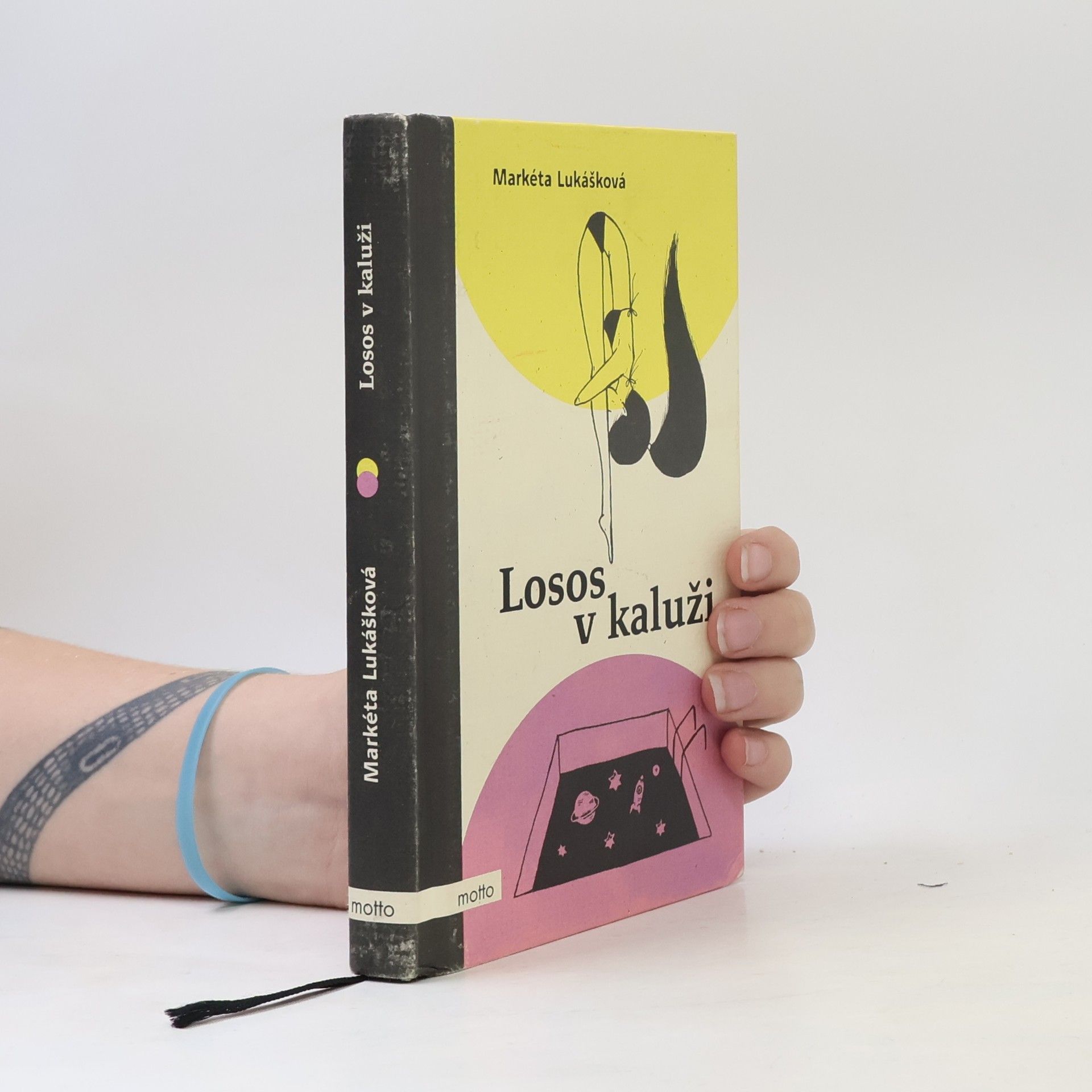 Markéta Lukášková Losos v kaluži