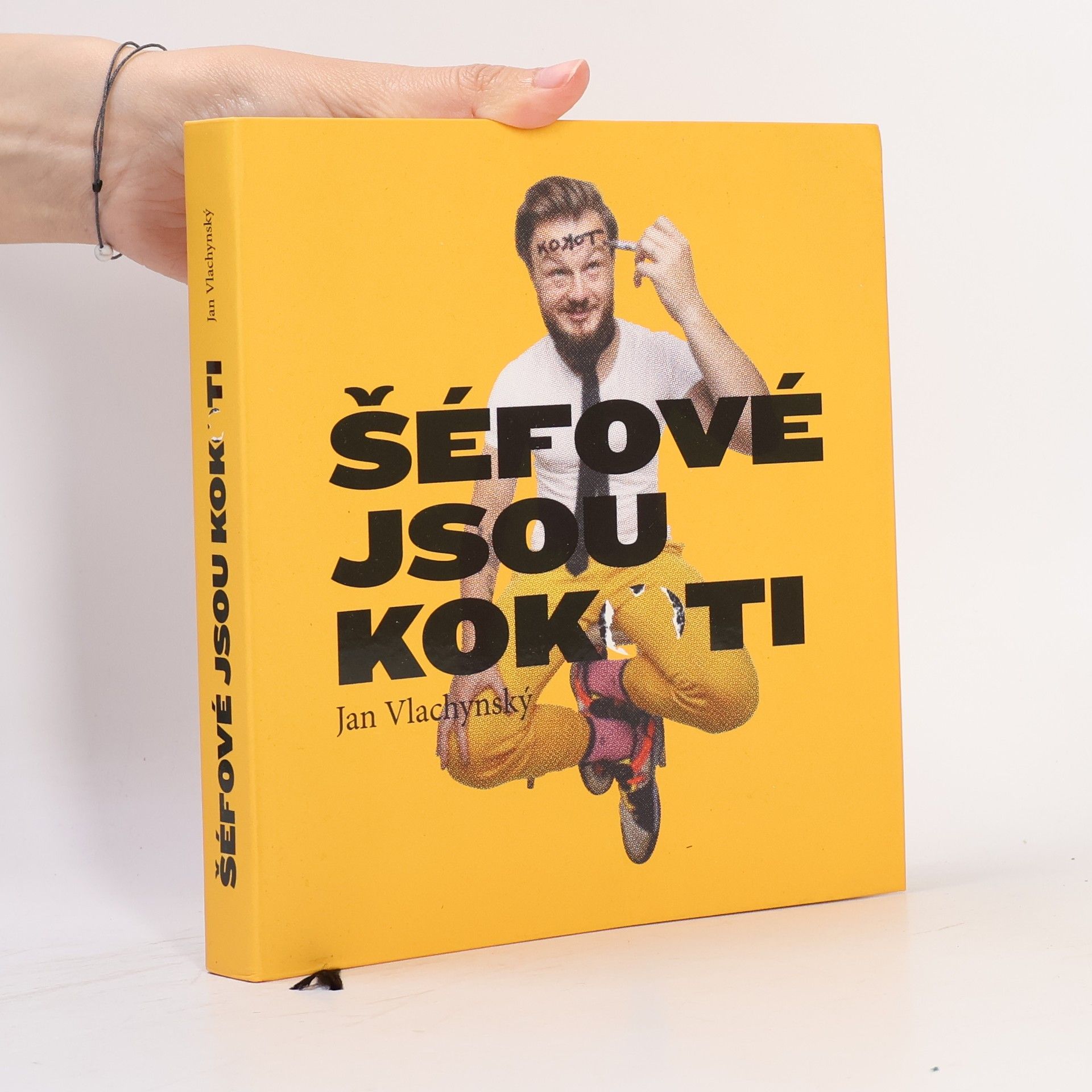 Jan Vlachynský Šéfové jsou kokoti