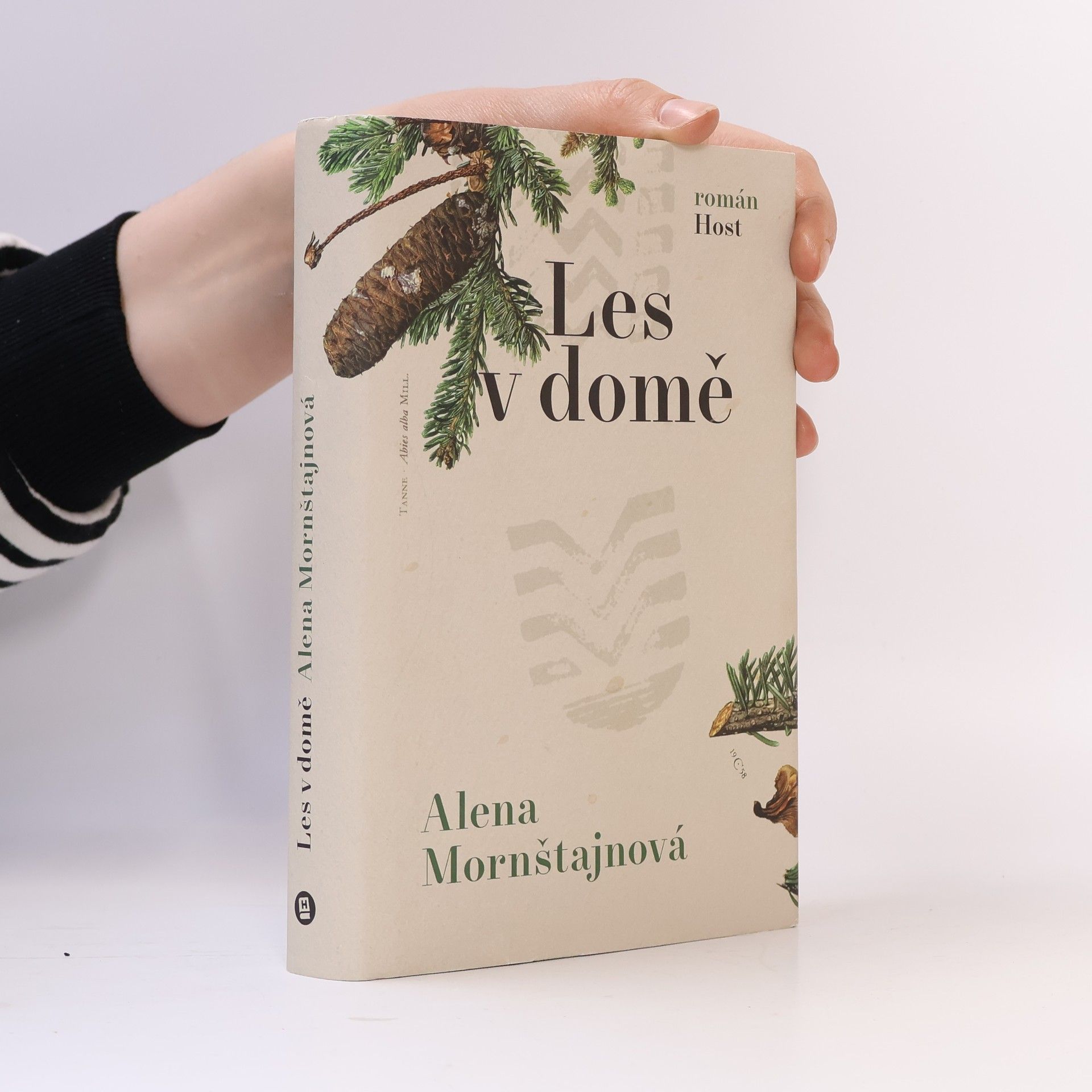 Alena Mornštajnová Les v domě