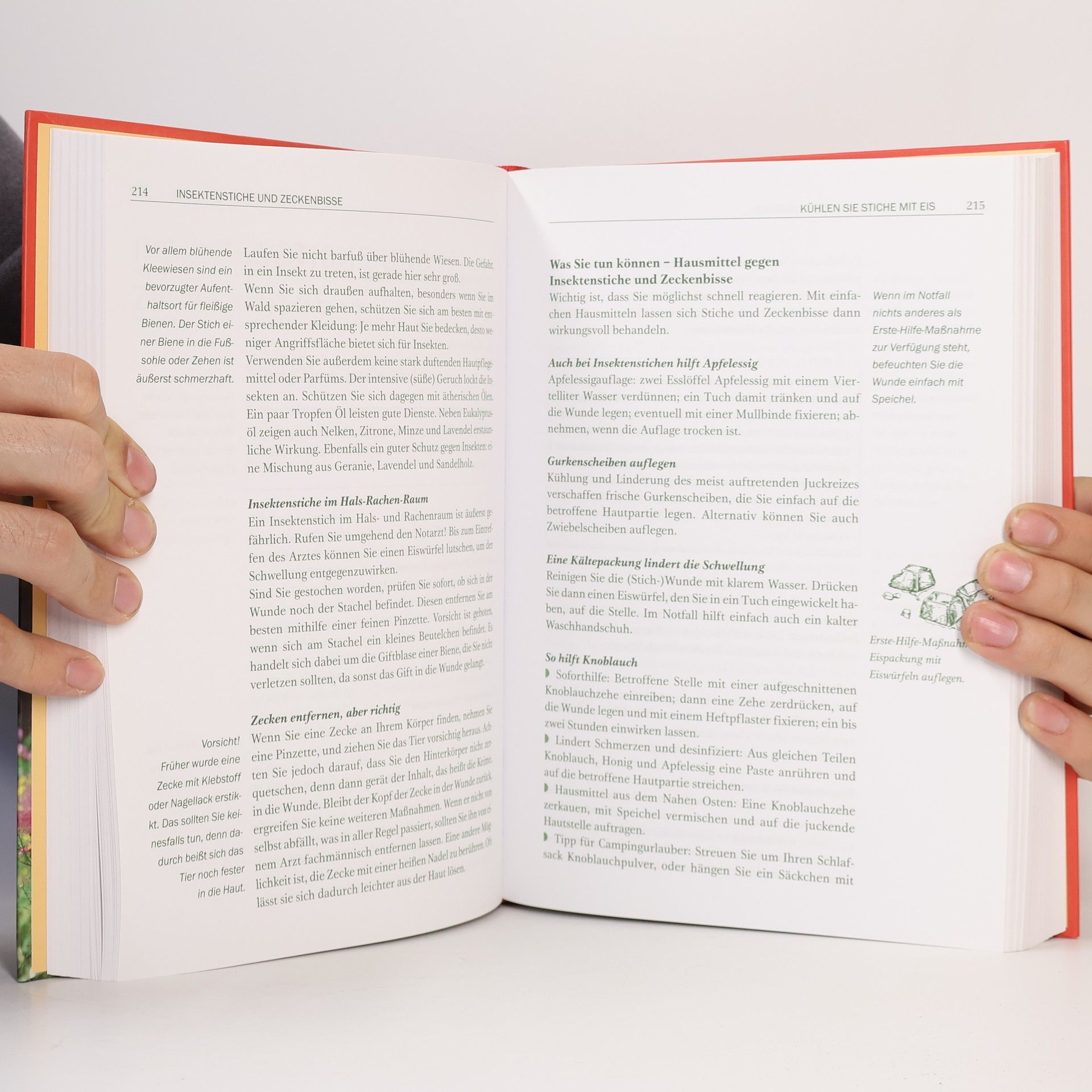 Eberhard J. Wormer Omas großes Buch der Hausmittel