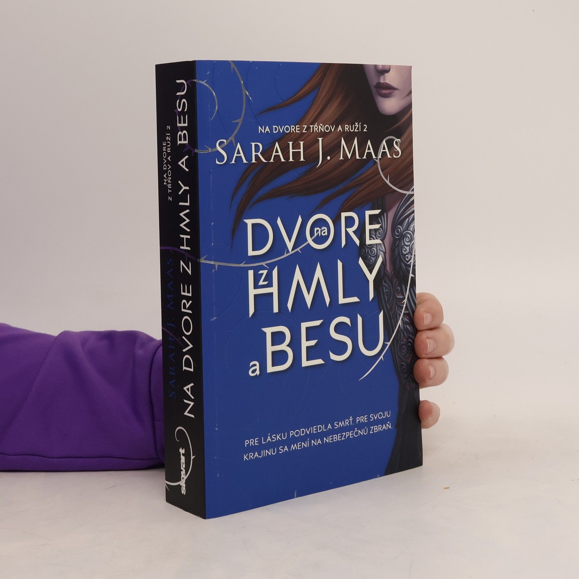 Na dvore z hmly a besu