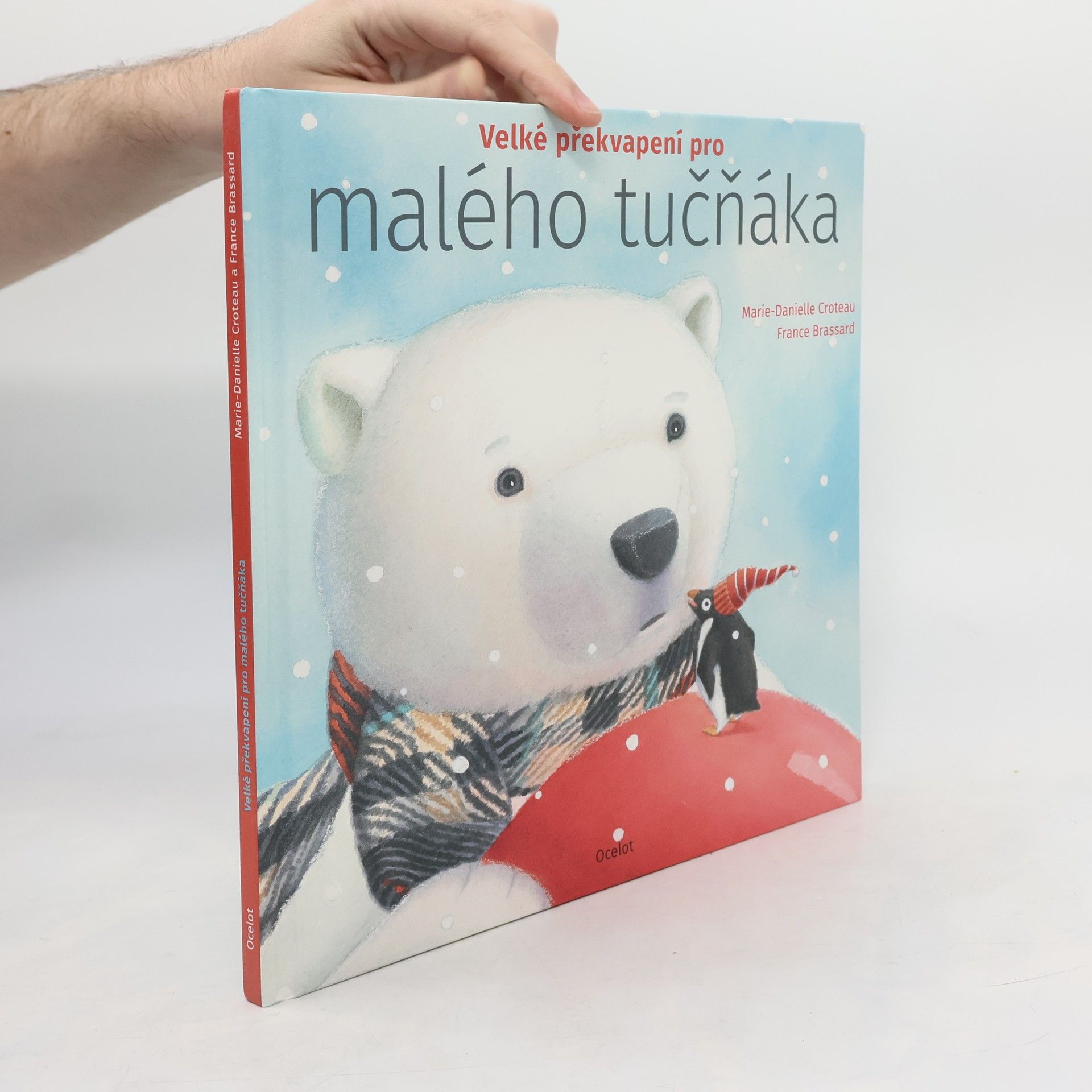 MarieDanielle Croteau Velké překvapení pro malého tučňáka