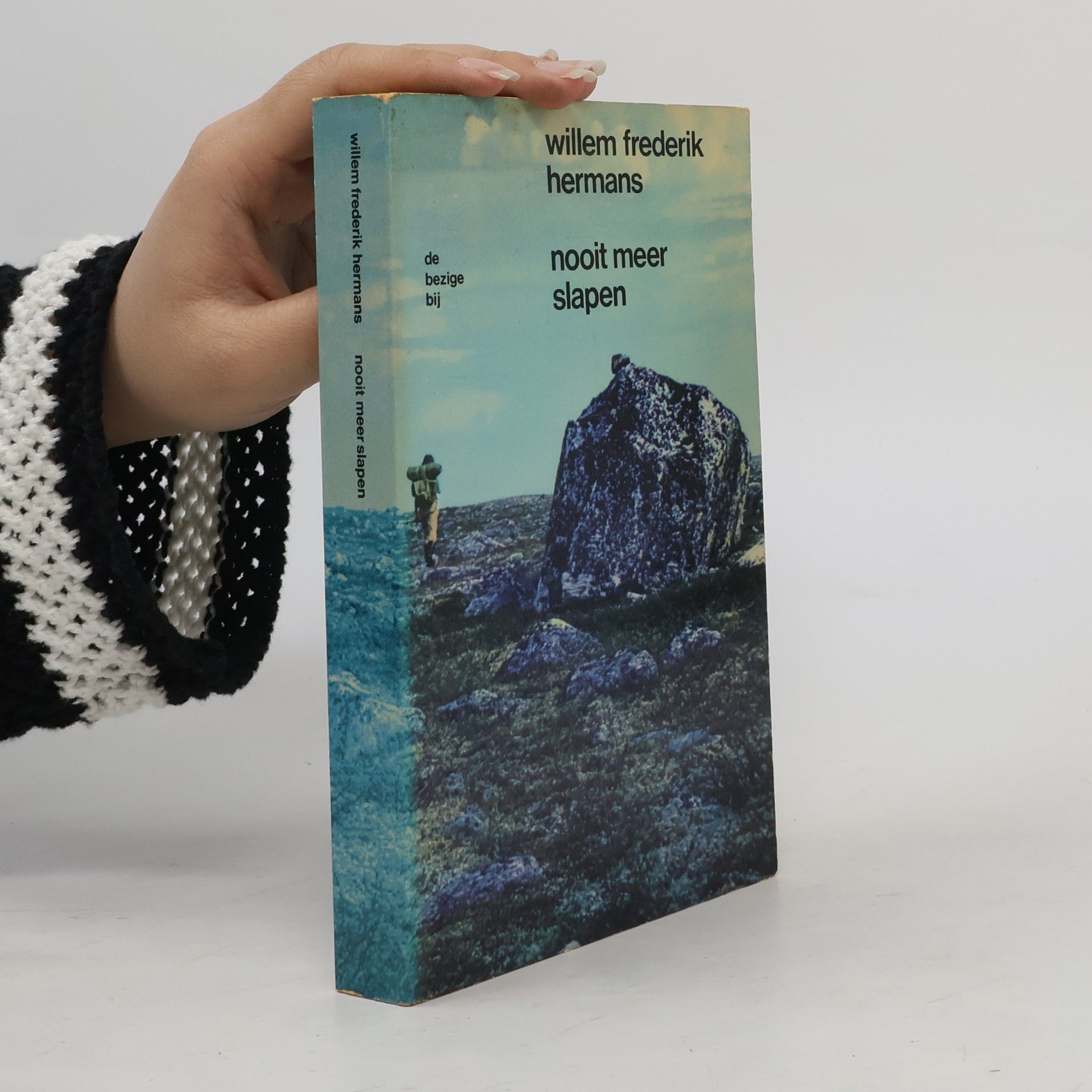 Willem Frederik Hermans Nooit meer slapen