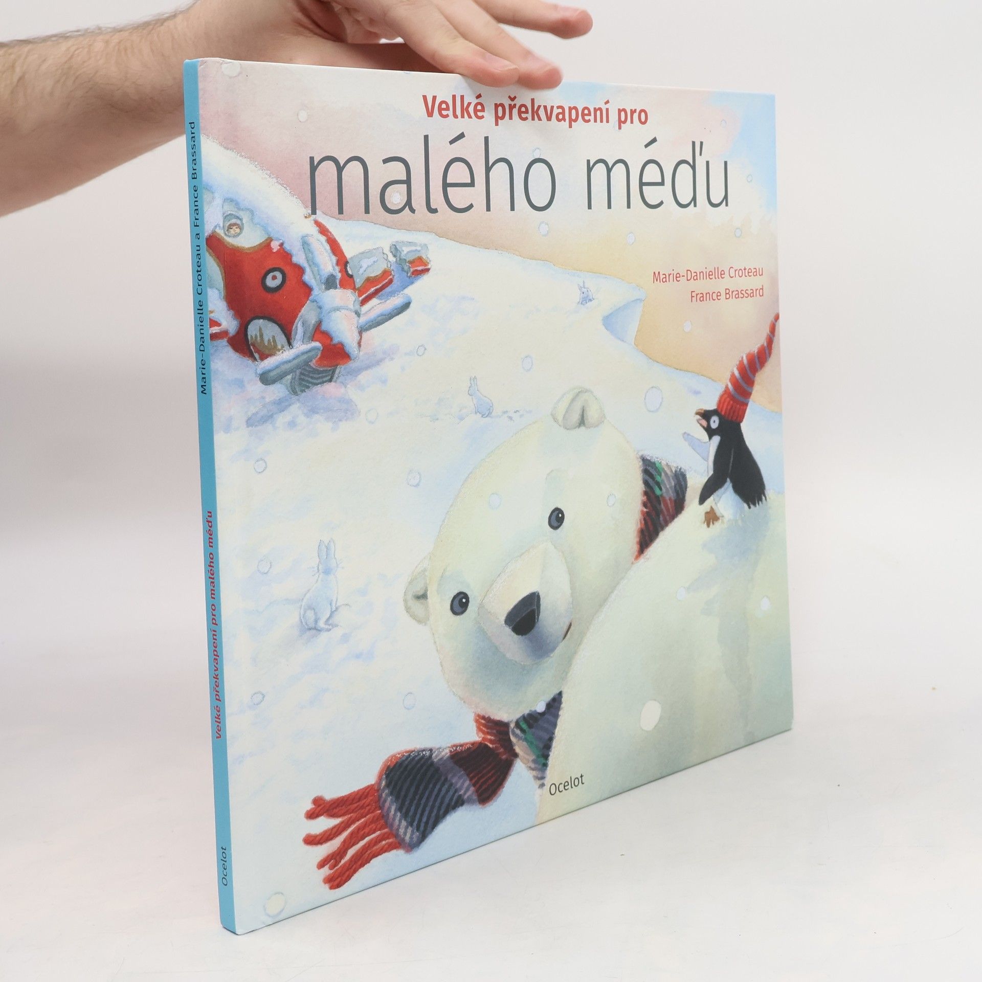 MarieDanielle Croteau Velké překvapení pro malého méďu