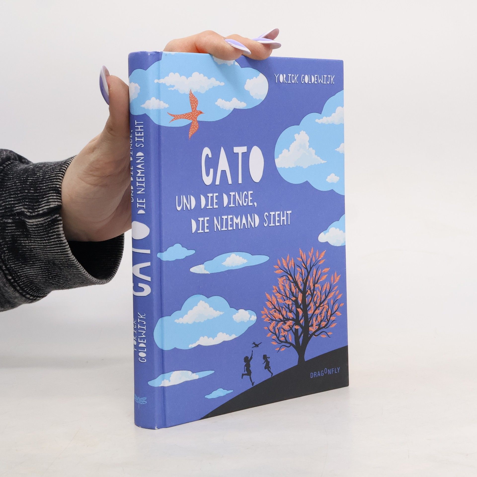 Yorick Goldewijk Cato und die Dinge, die niemand sieht