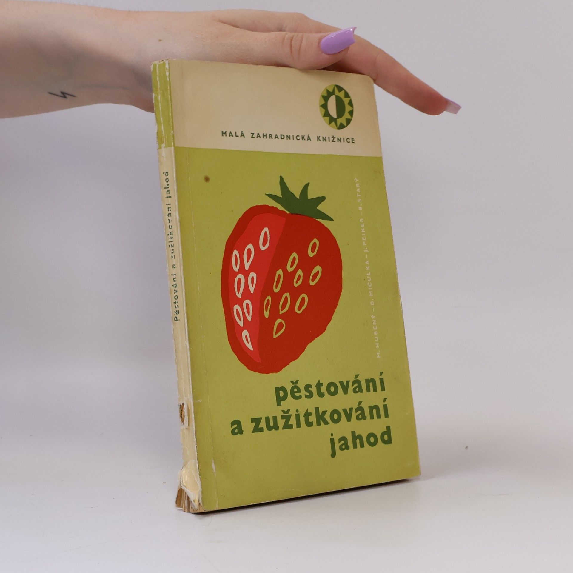 Kolektiv autorů Pěstování a zužitkování jahod