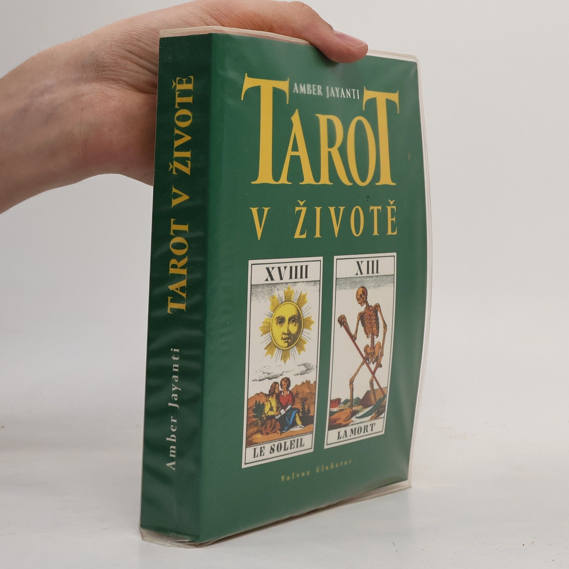 Amber Jayanti Tarot v životě