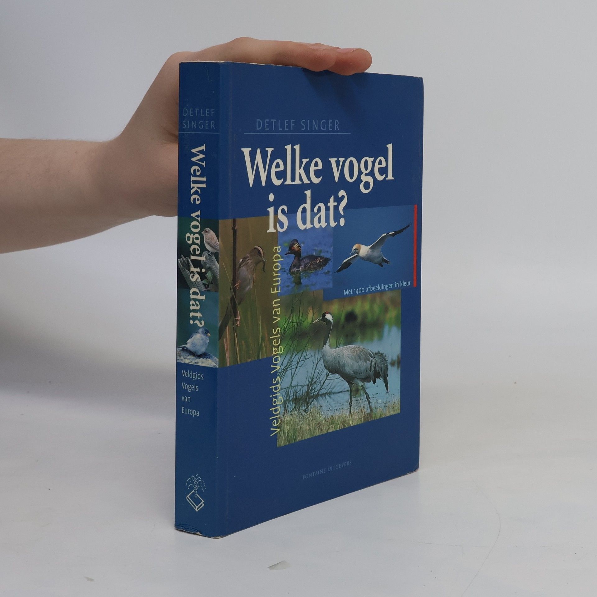 Detlef Singer Welke vogel is dat?