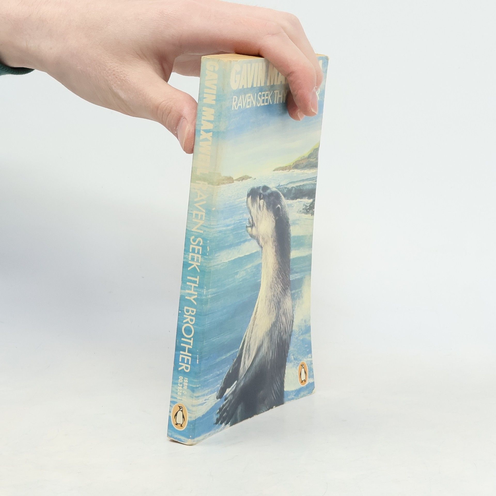 Raven Seek Thy Brother