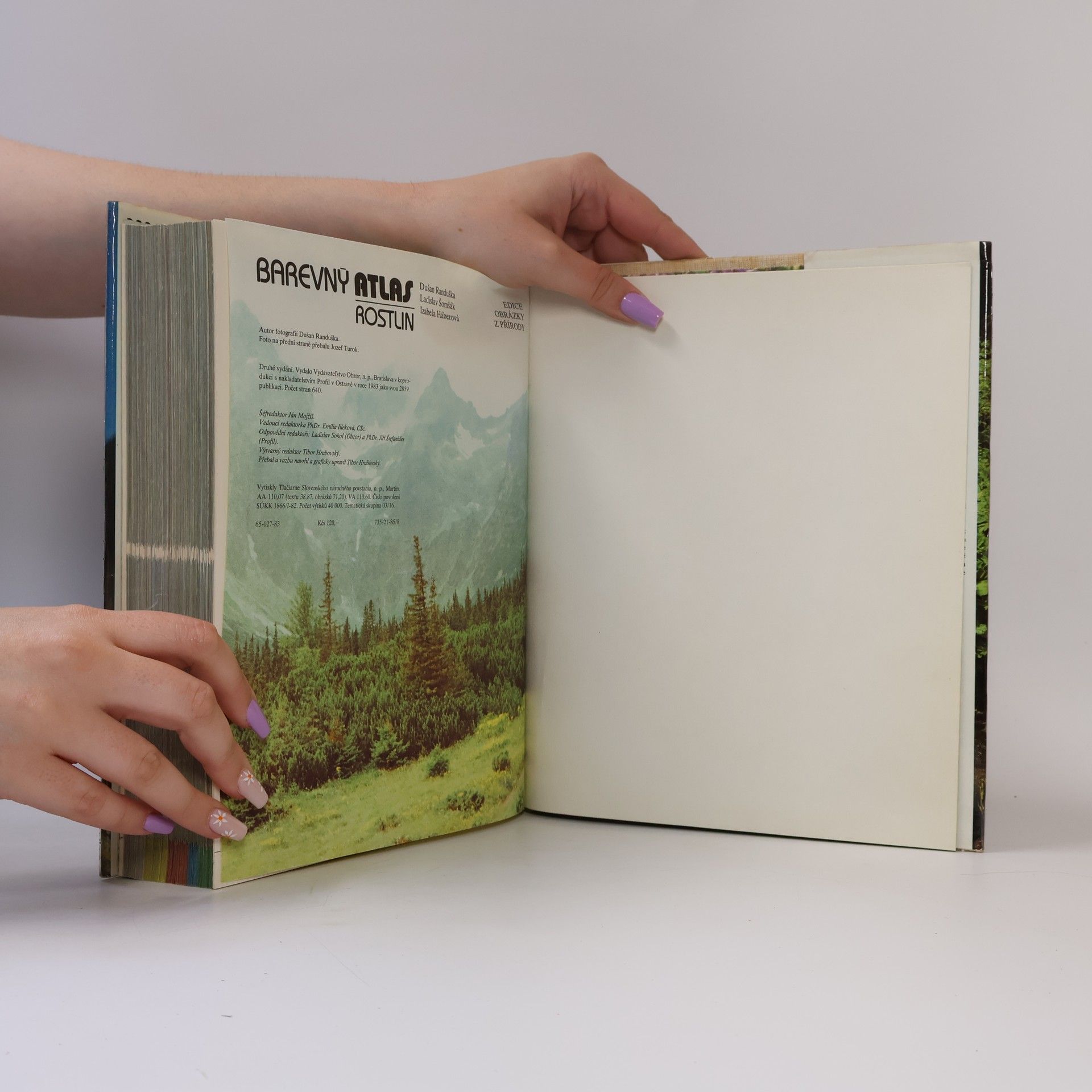 Izabela Háberová Barevný atlas rostlin
