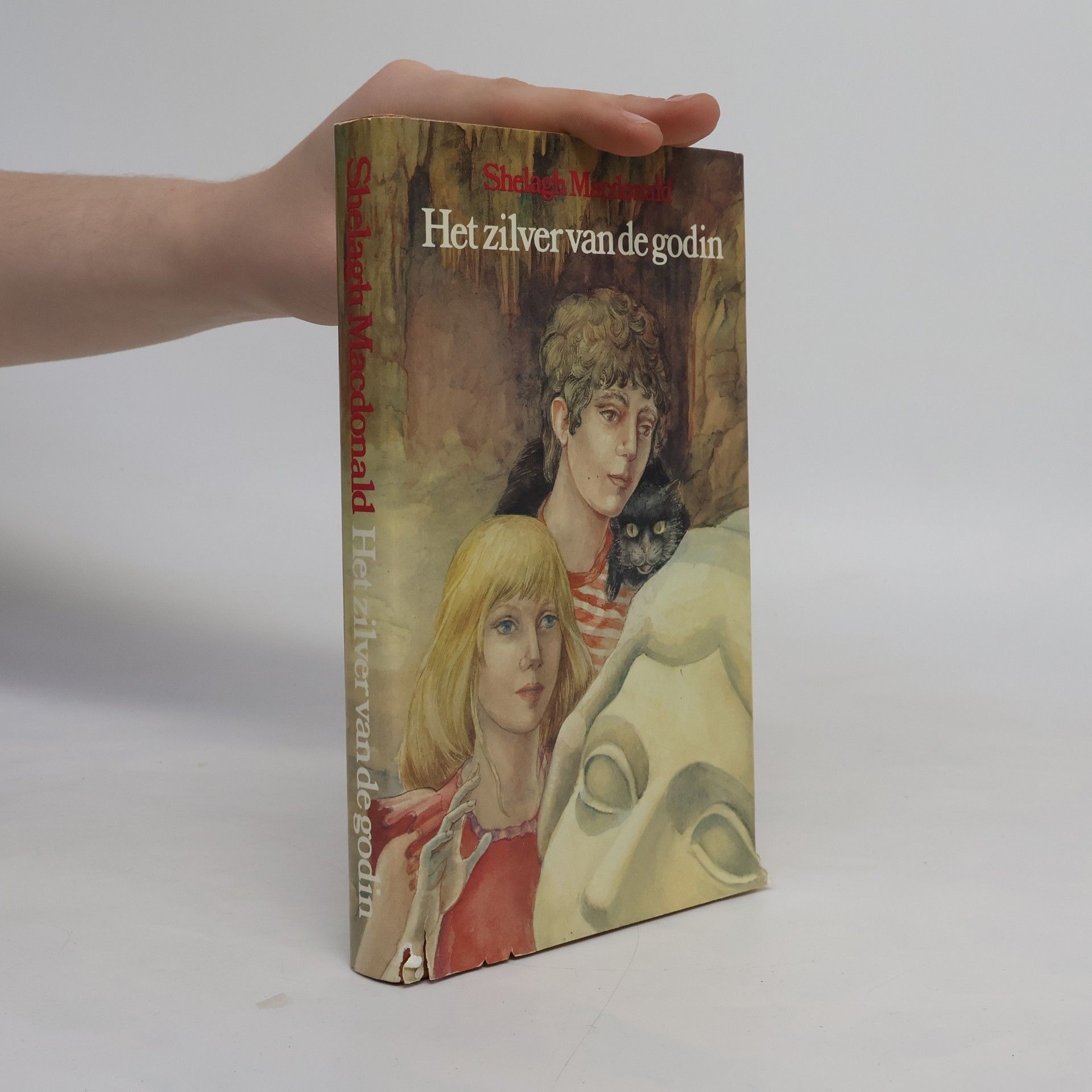 Het zilver van de godin