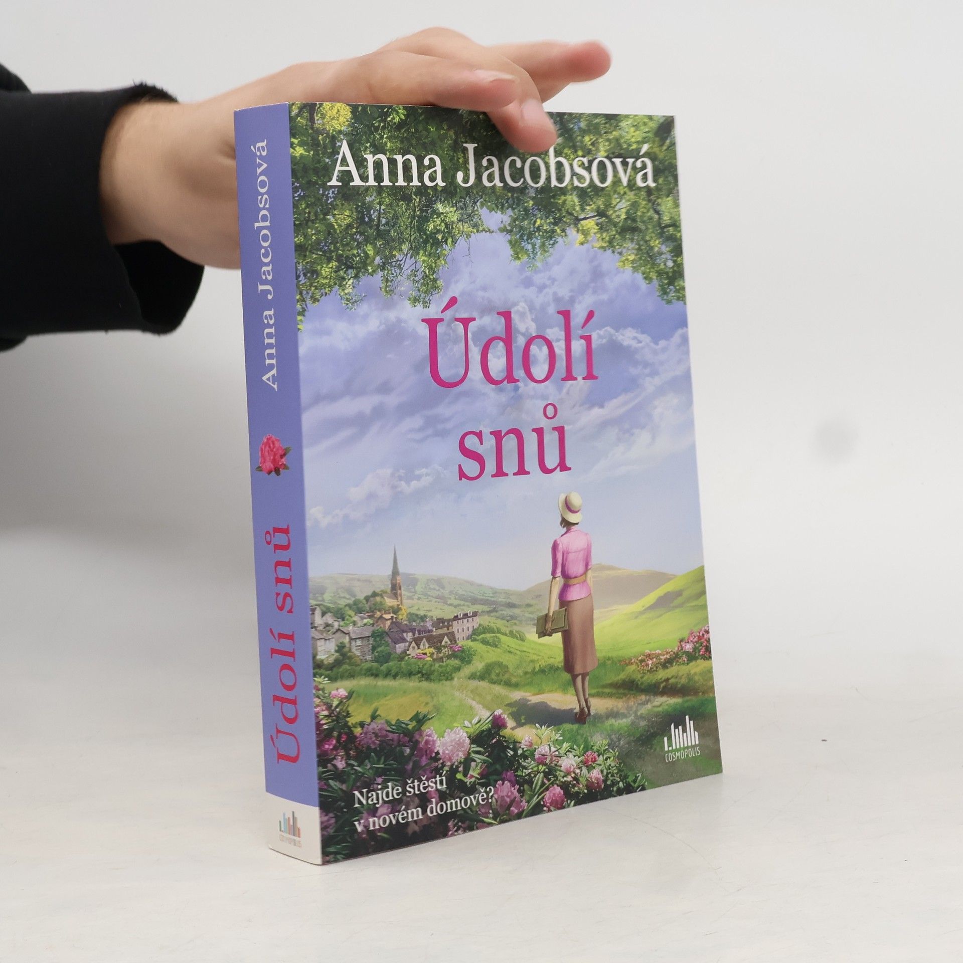 Anna Jacobs Údolí snů