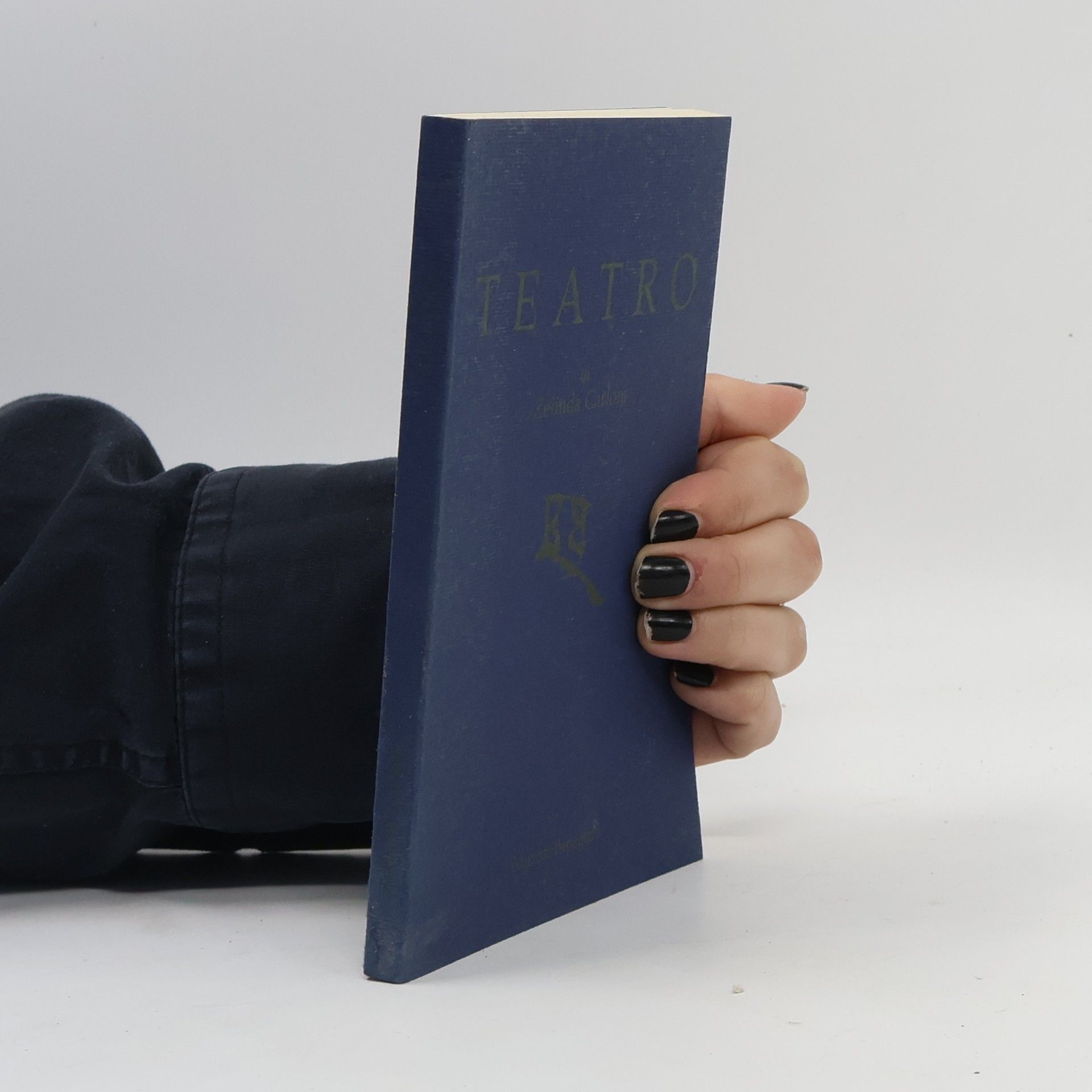 Kolektív autorov Teatro