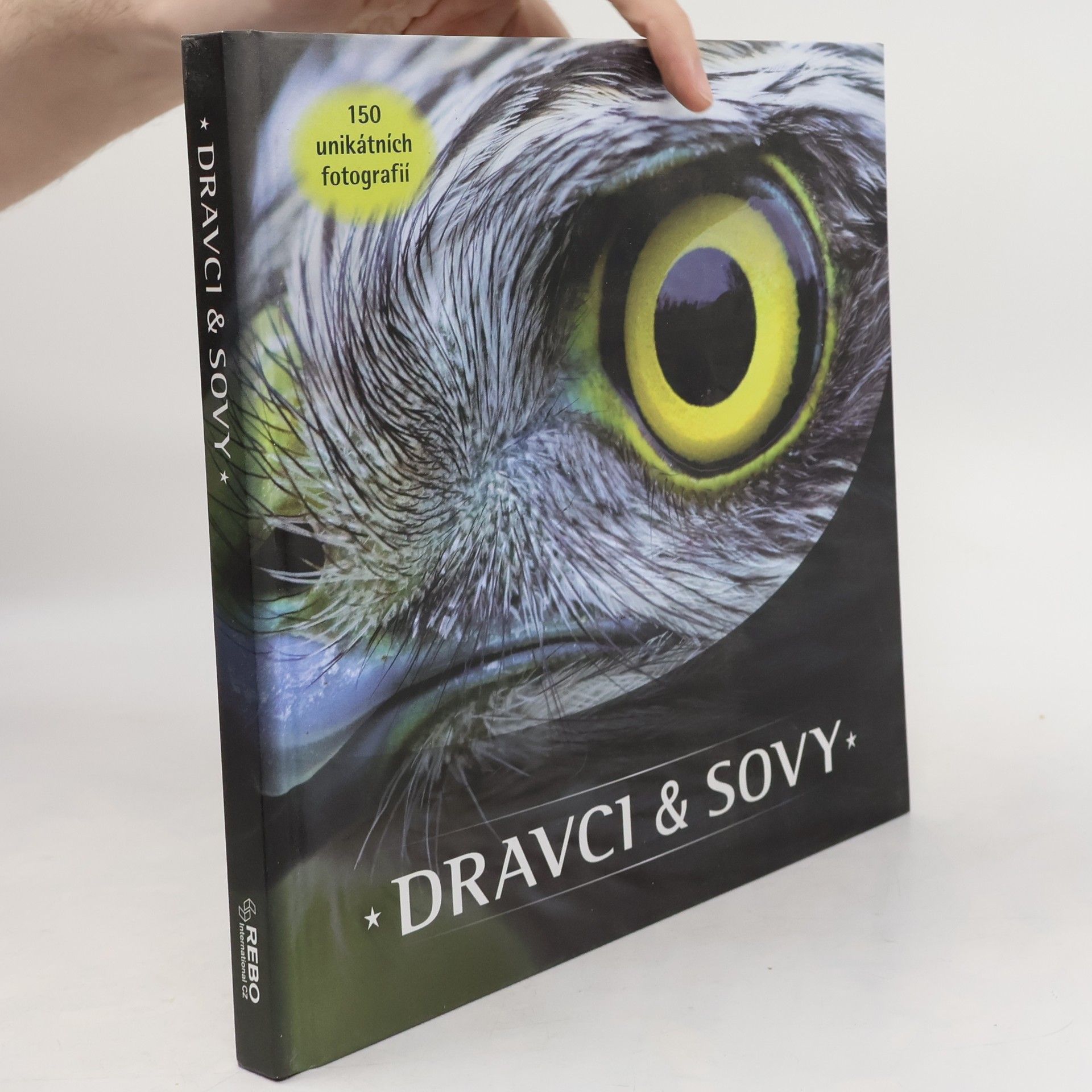 Jaap Schelvis Dravci & Sovy