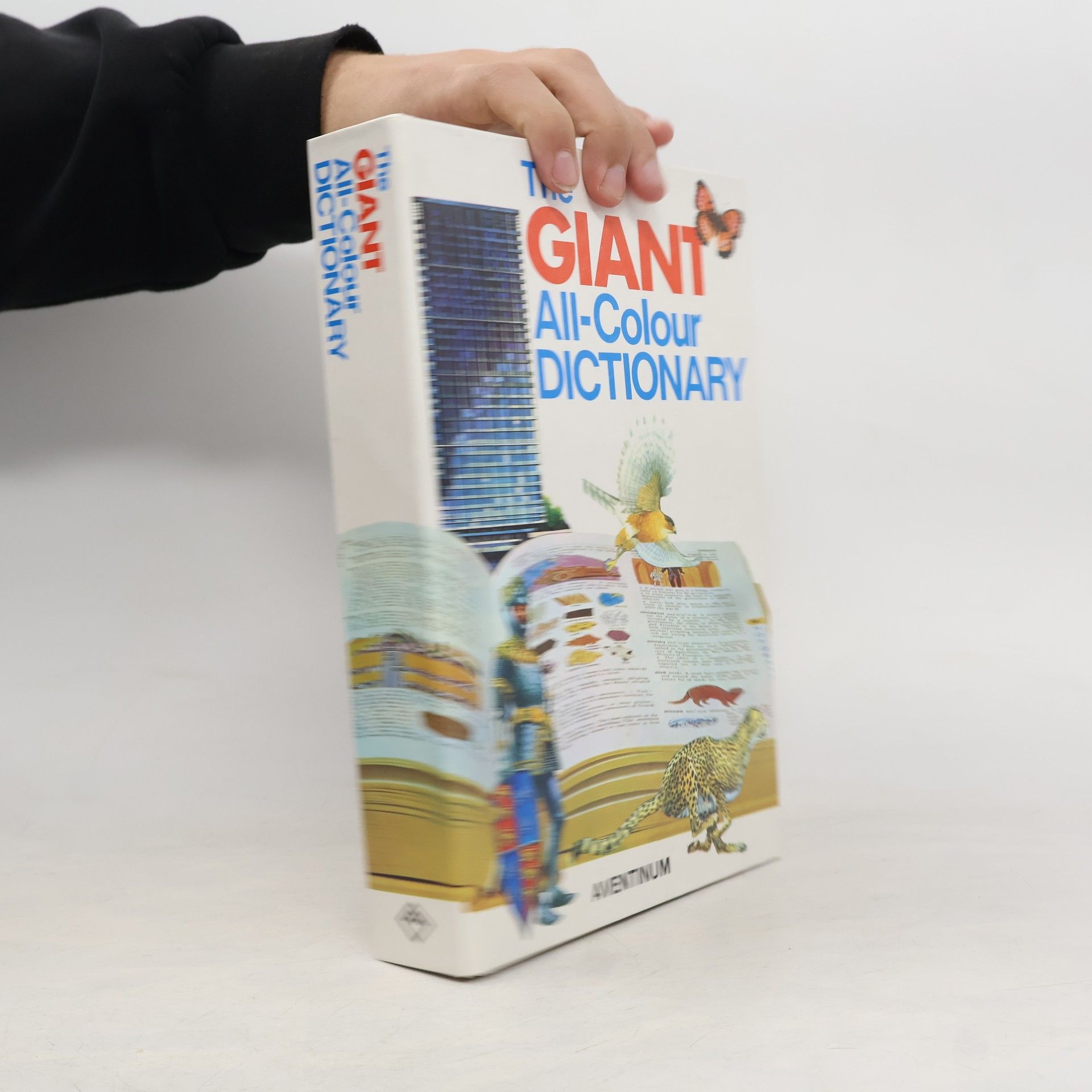 Garnette Watters The Giant All-Colour Dictionary