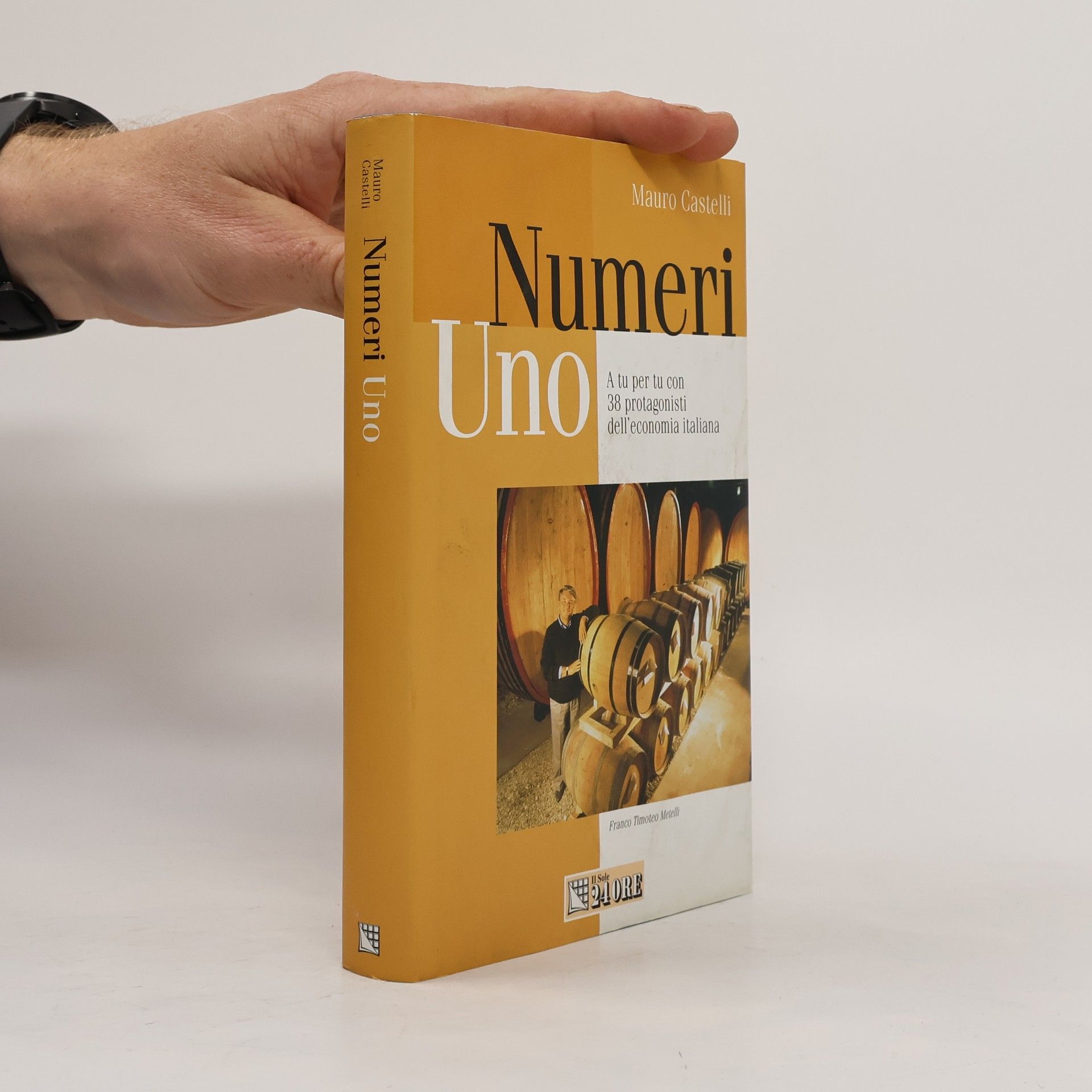 Mauro Castellini Numeri uno. A tu per tu con 38 protagonisti dell'economia italiana
