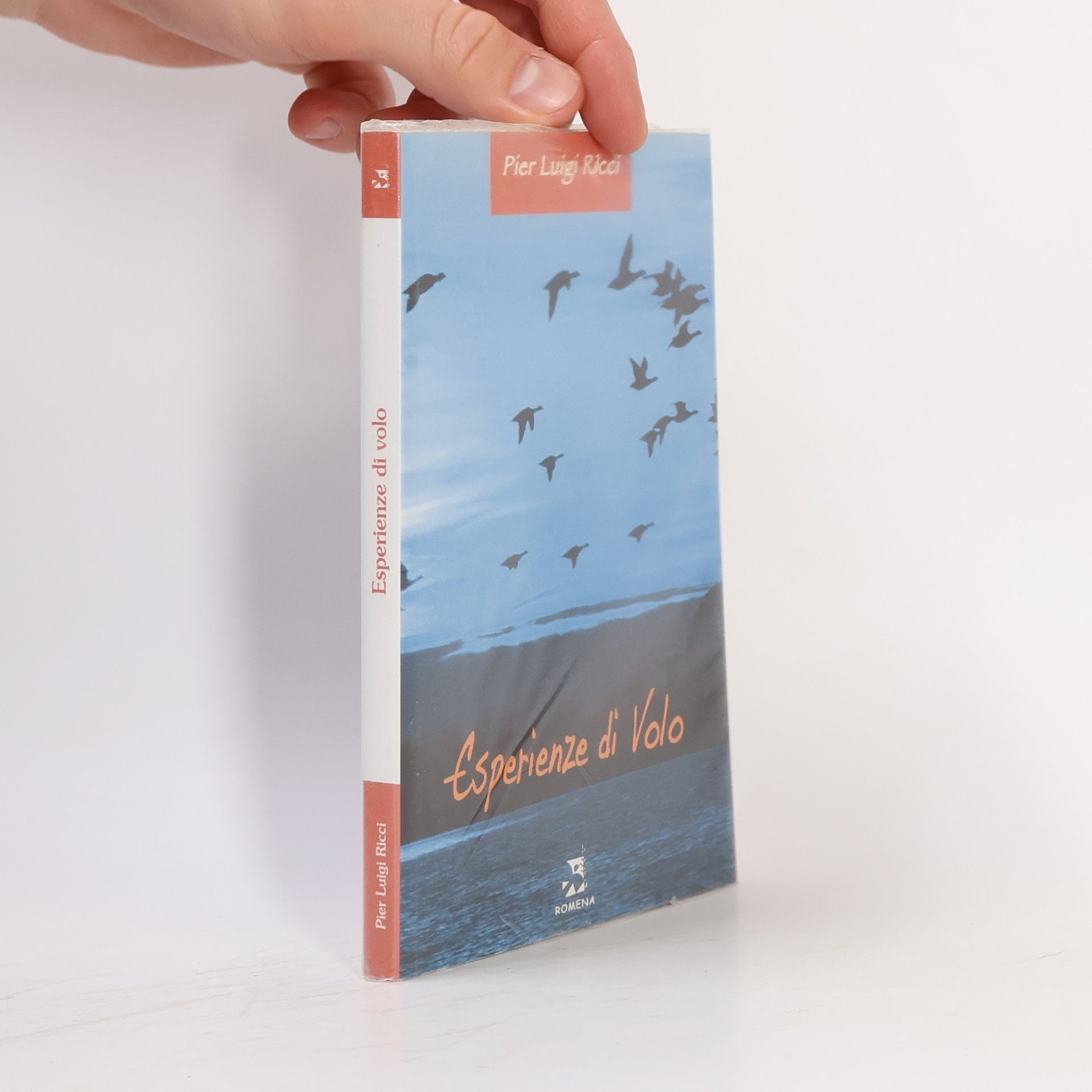 Pier Luigi Ricci Esperienze di volo