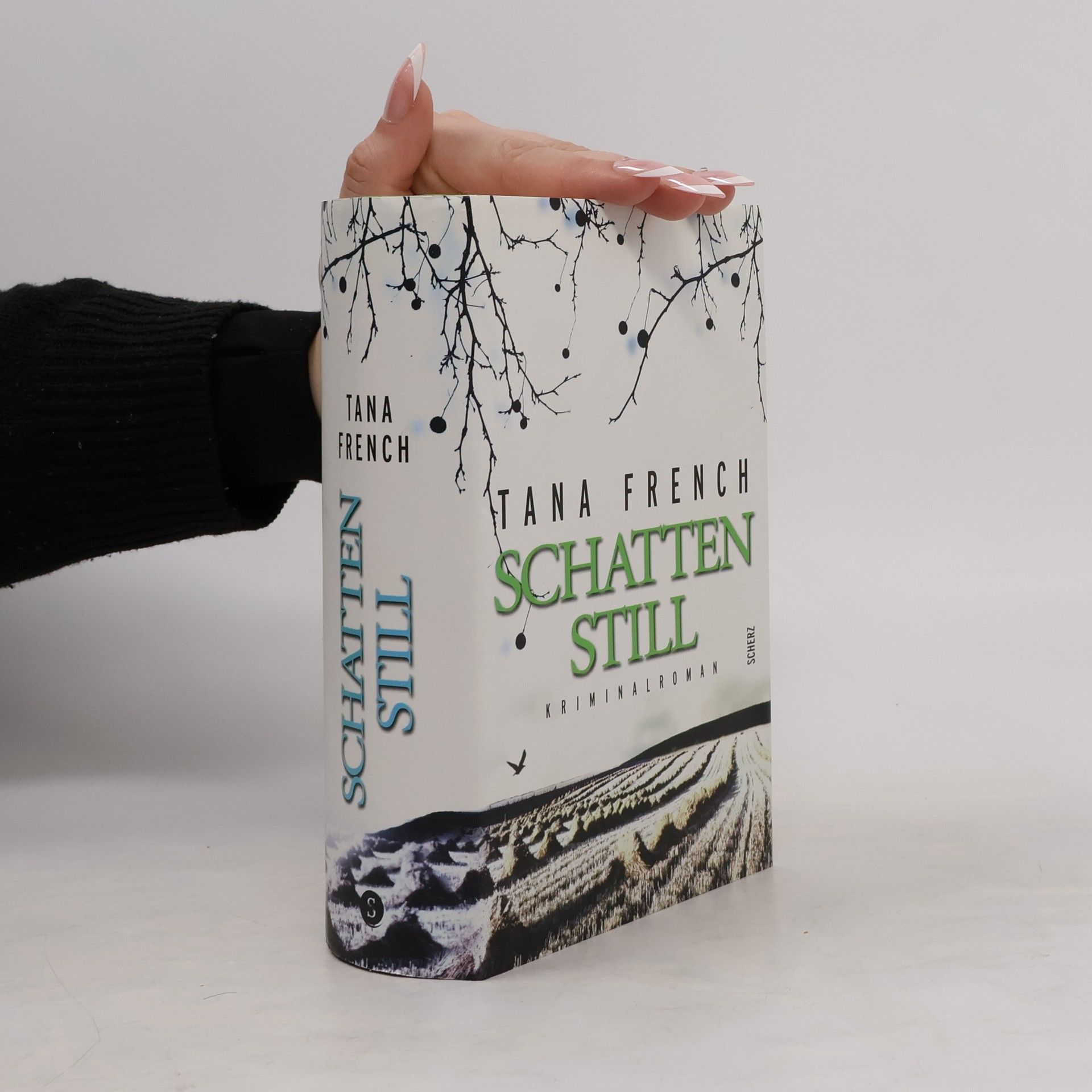 Tana French Schattenstill