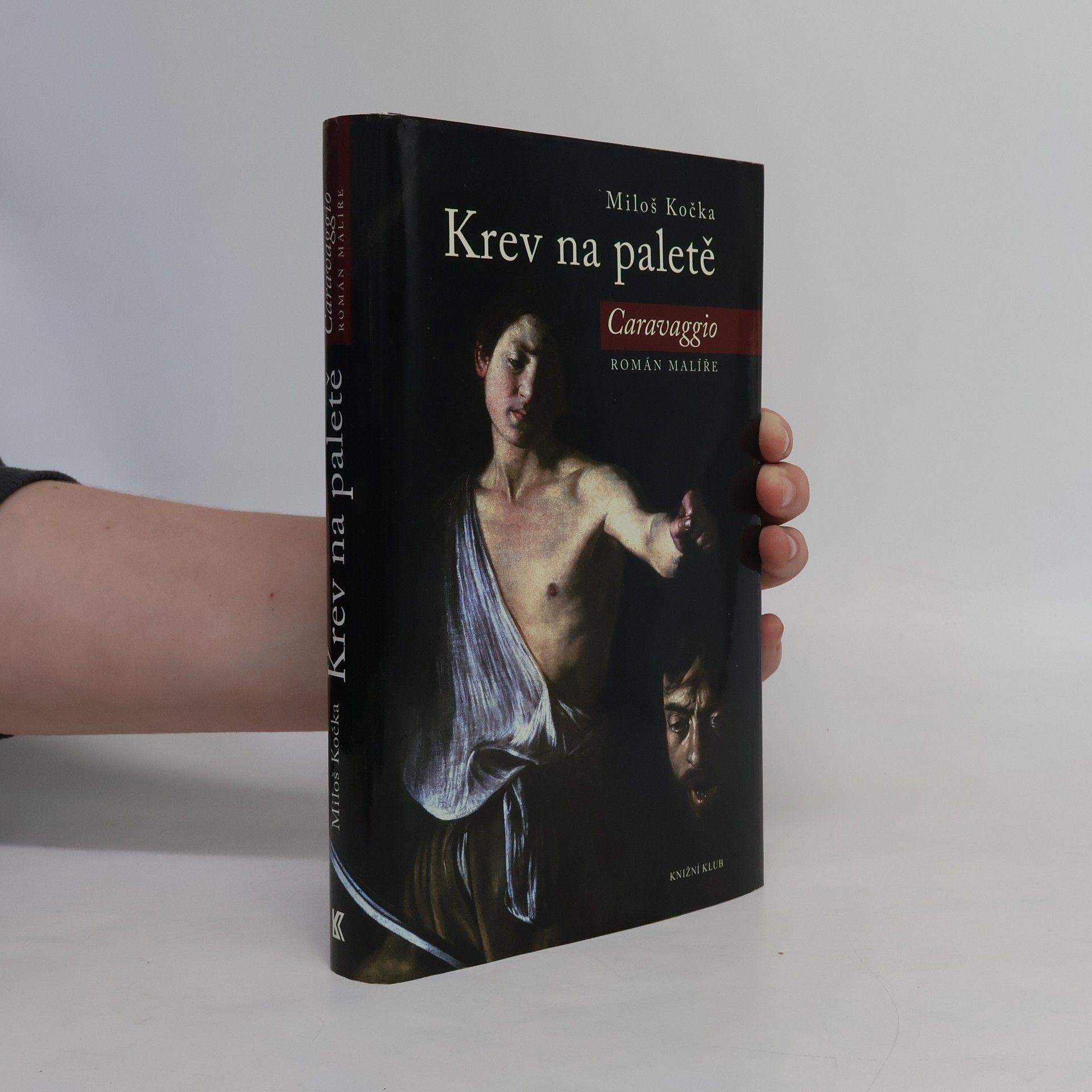 Miloš Kočka Krev na paletě
