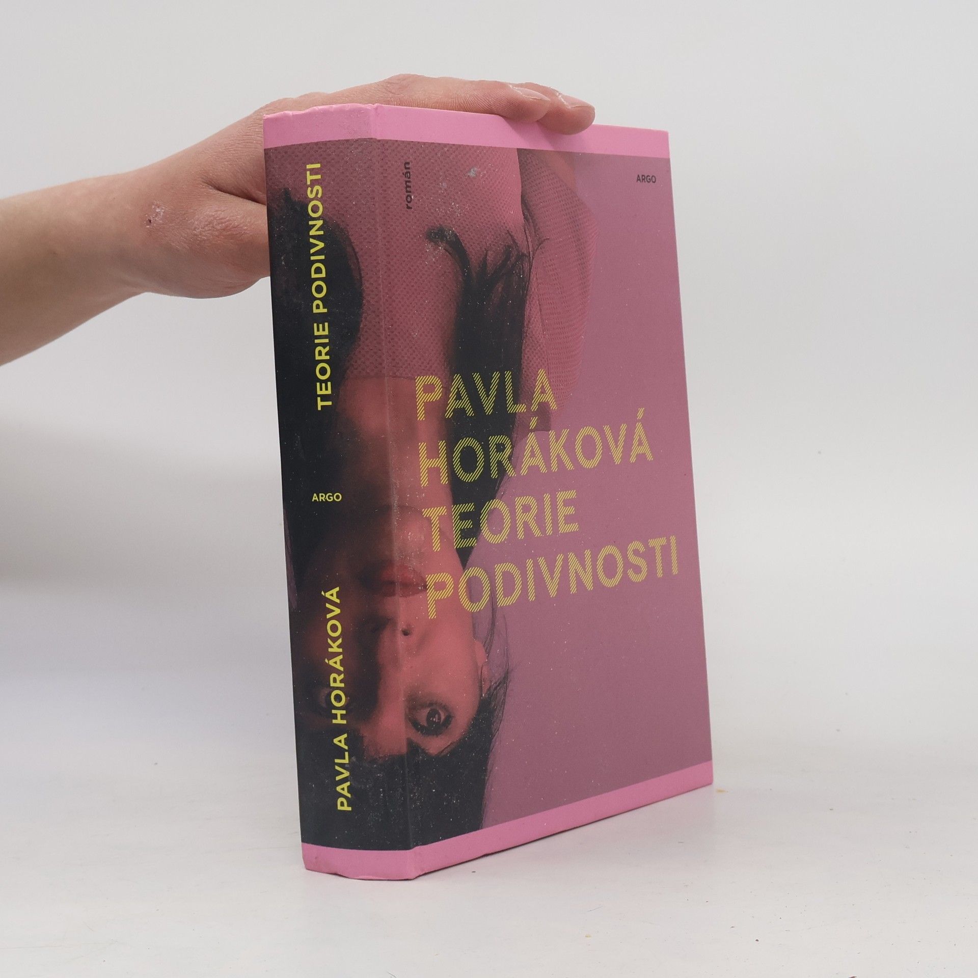 Pavla Horáková Teorie podivnosti