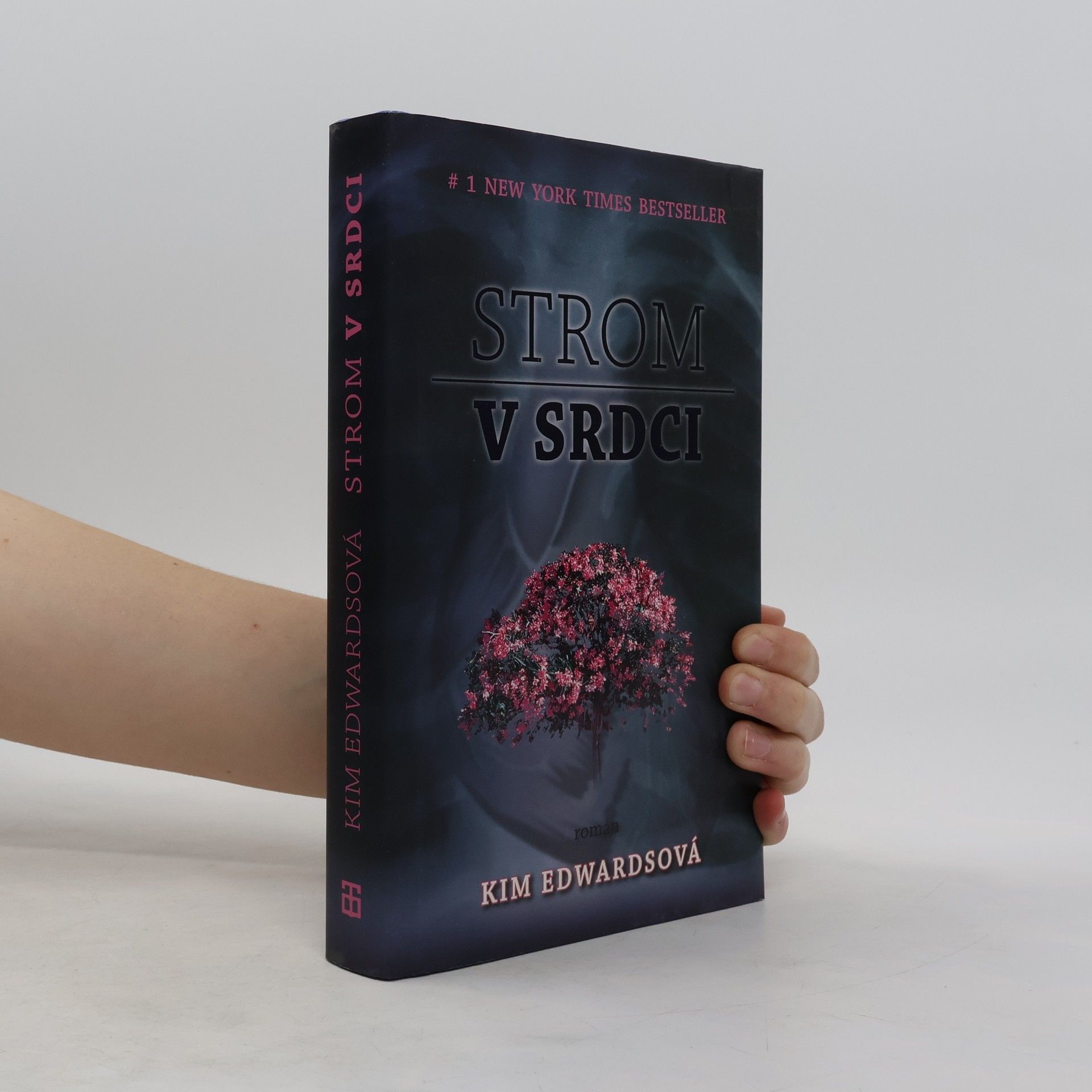 Kim Edwards Strom v srdci