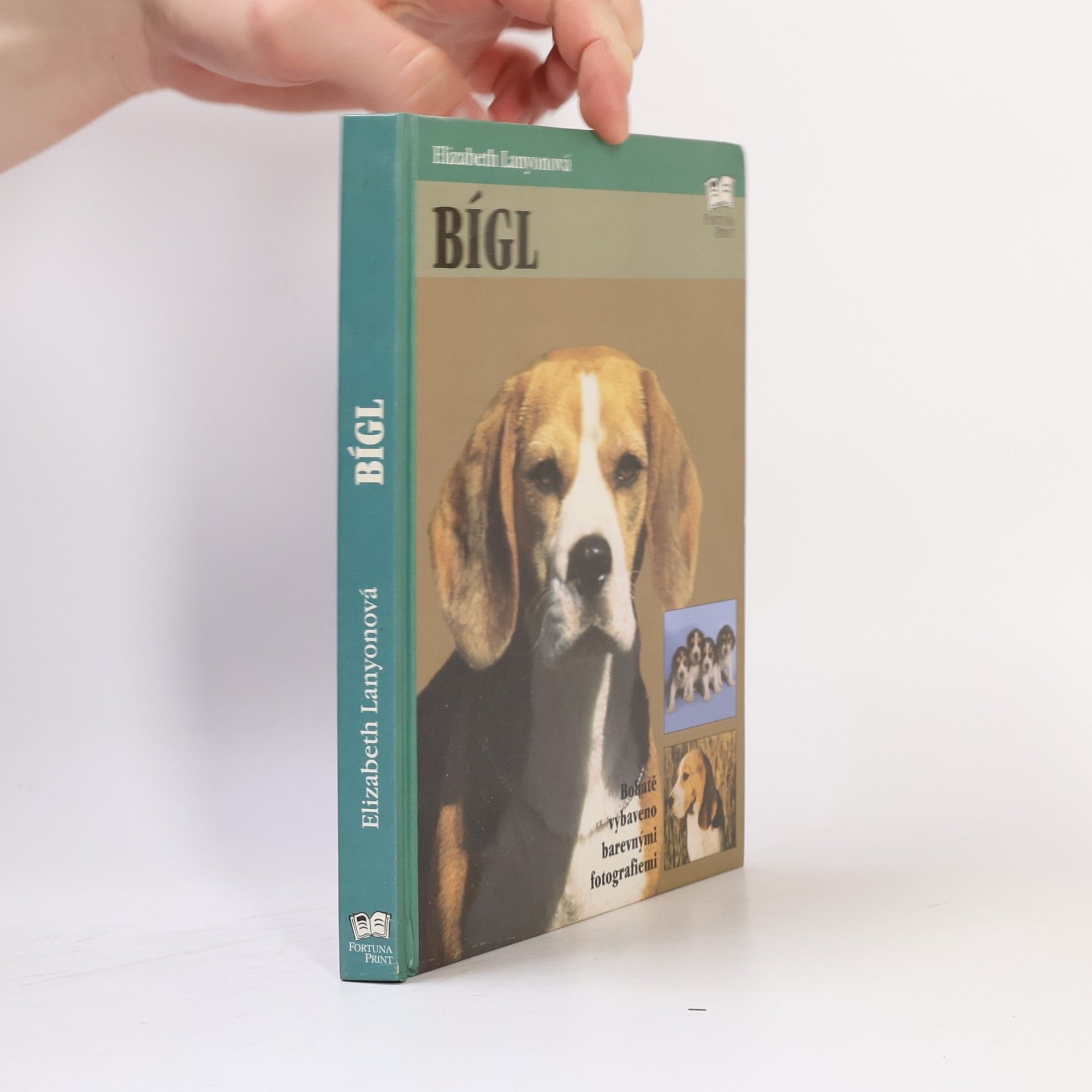 Elizabeth Lanyon Bígl