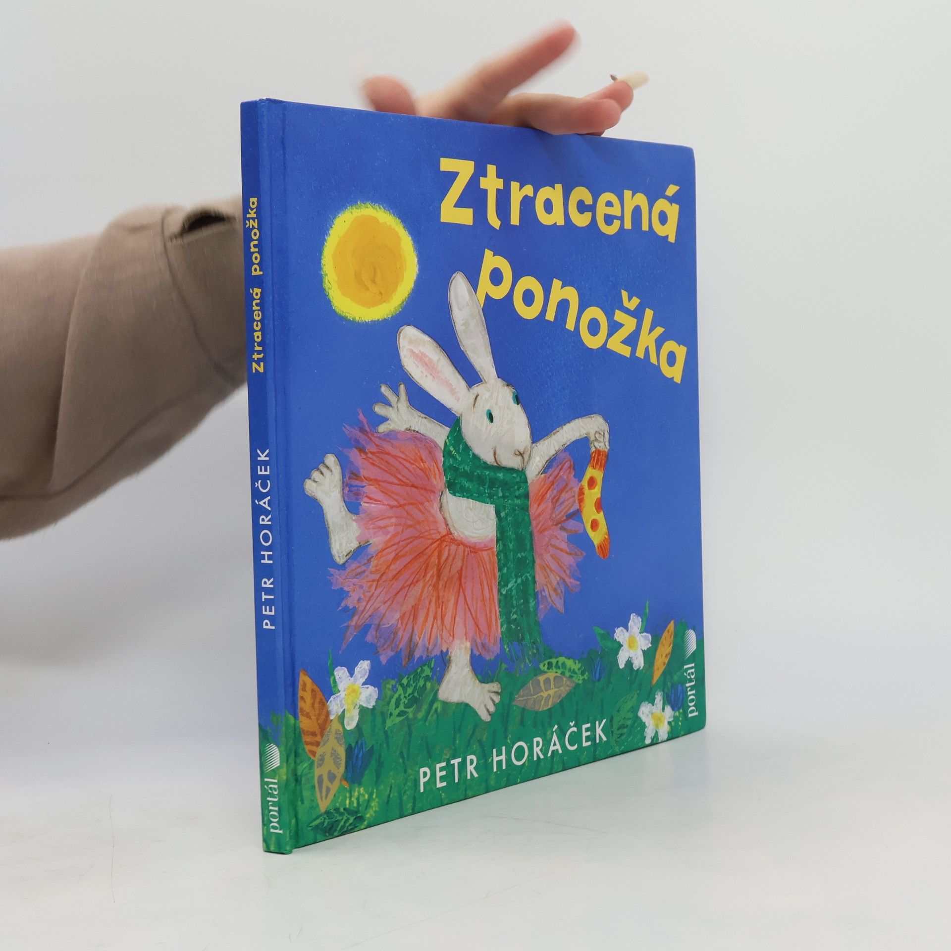 Petr Horáček Ztracená ponožka