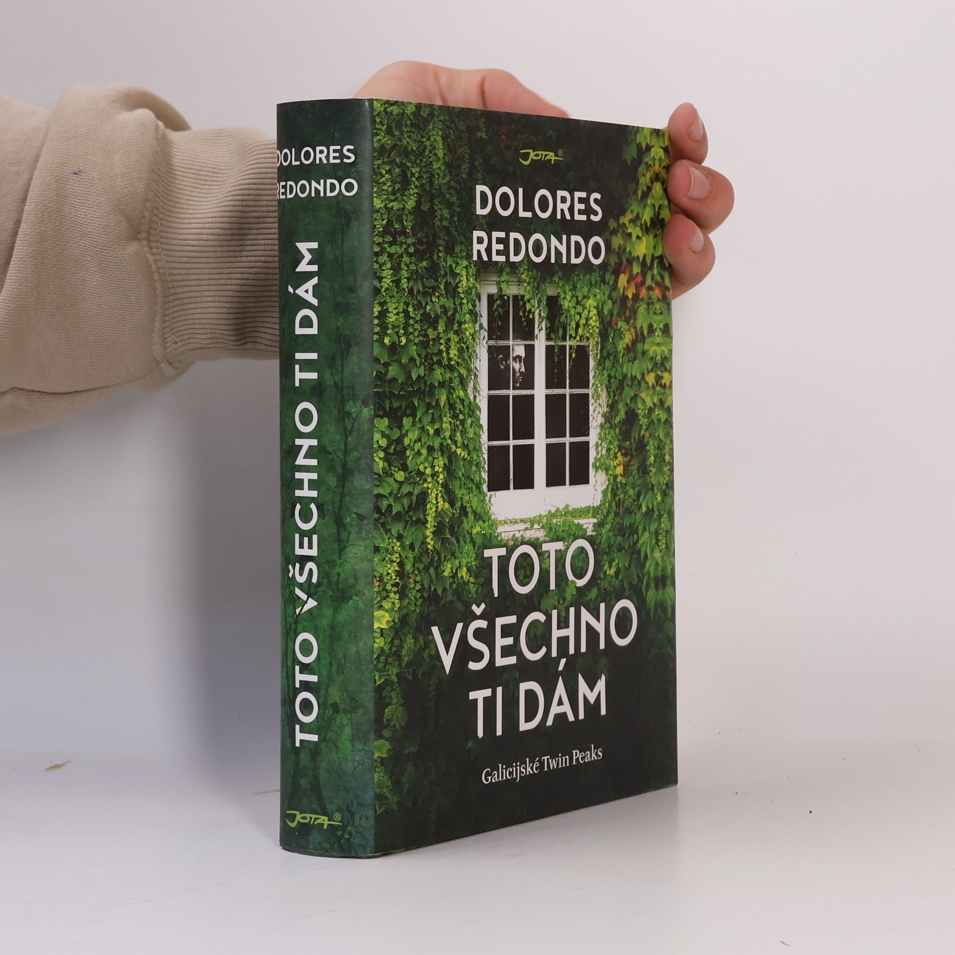 Dolores Redondo Toto všechno ti dám