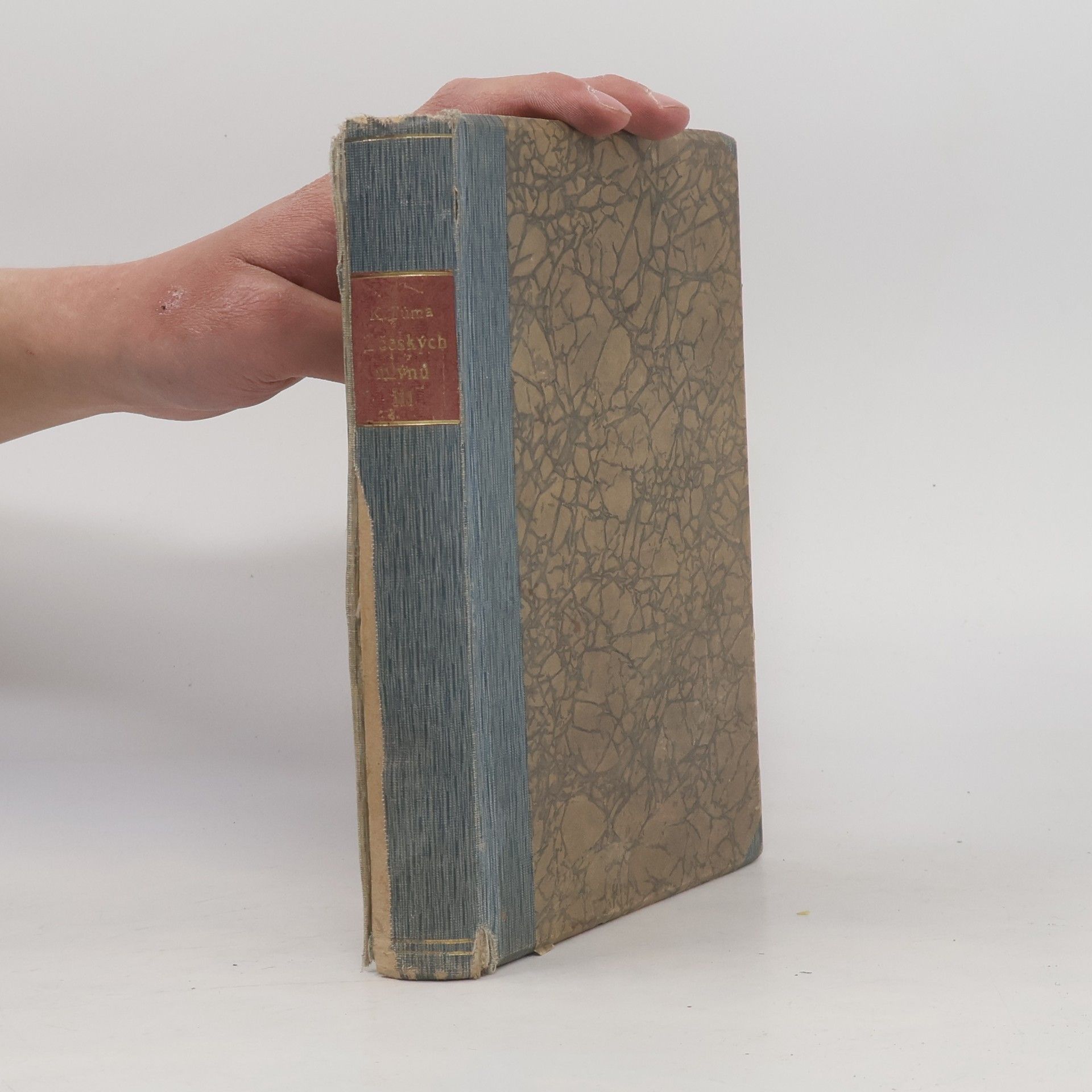 Karel Tůma Z českých mlýnů III