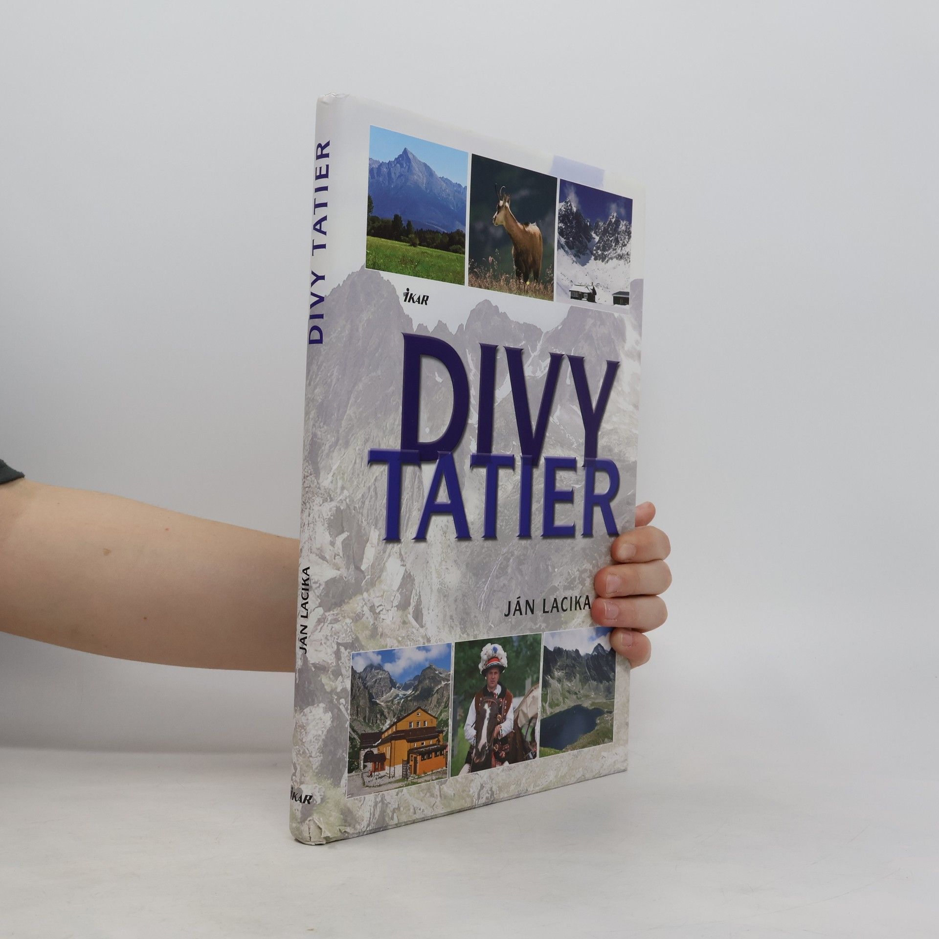 Rebecca Stephens Divy Tatier