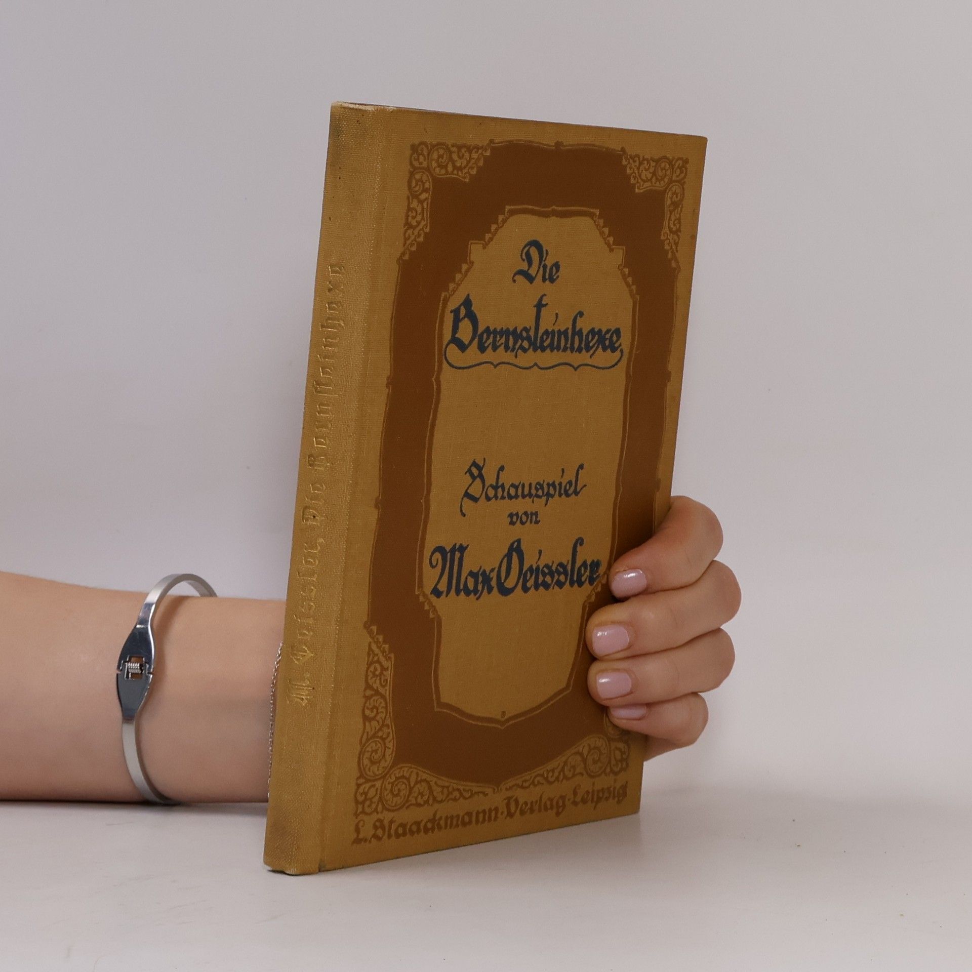 Max Geißler Die Bernsteinhexe