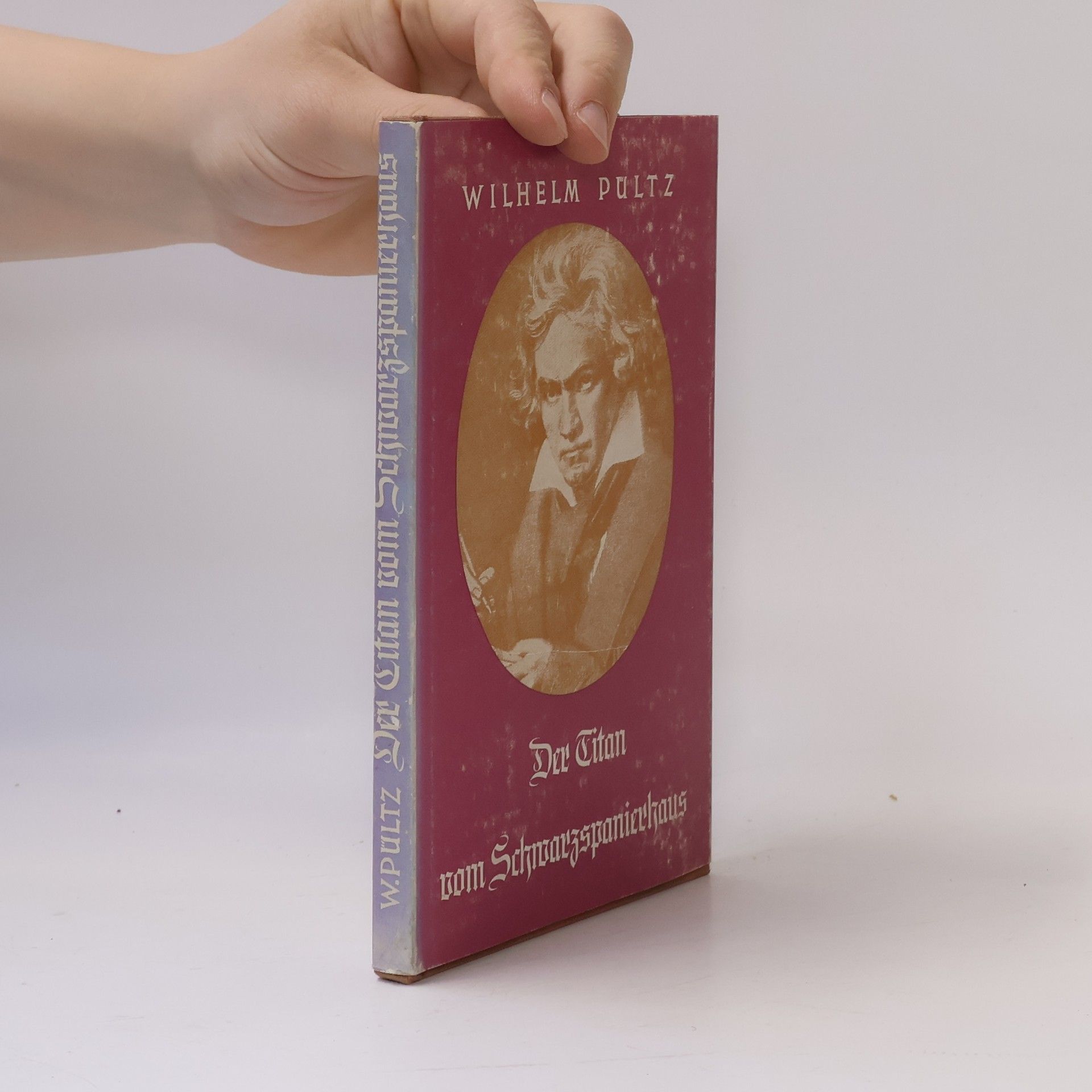 Der Titan vom Schwarzspanierhaus