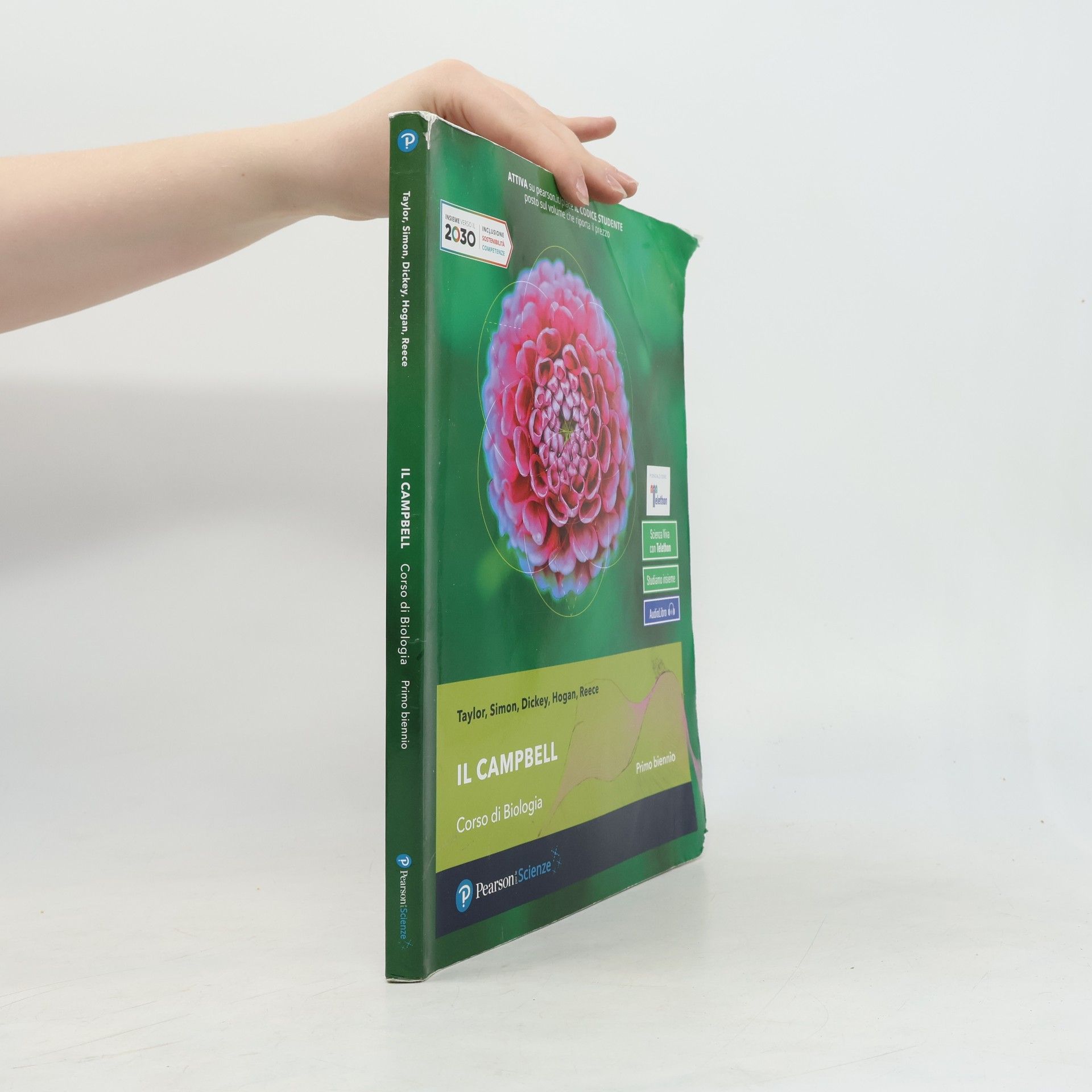 Autorenkollektiv Il campbell